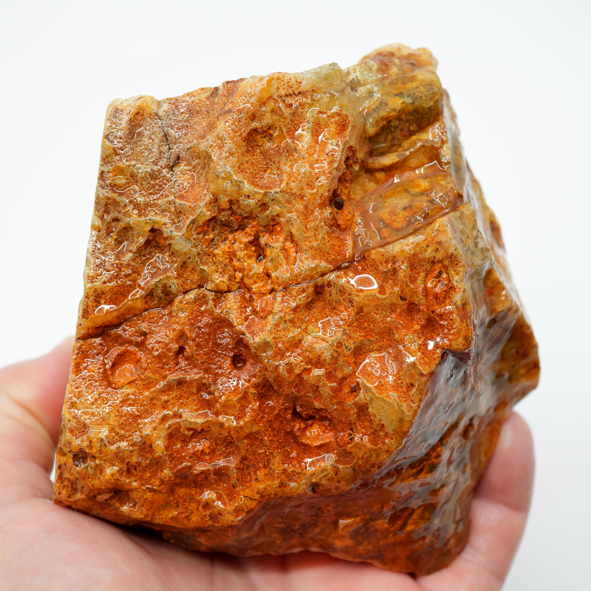 Regency Rose Plume Agate Rough - Old Stock Upward Plume with Red Cut Face