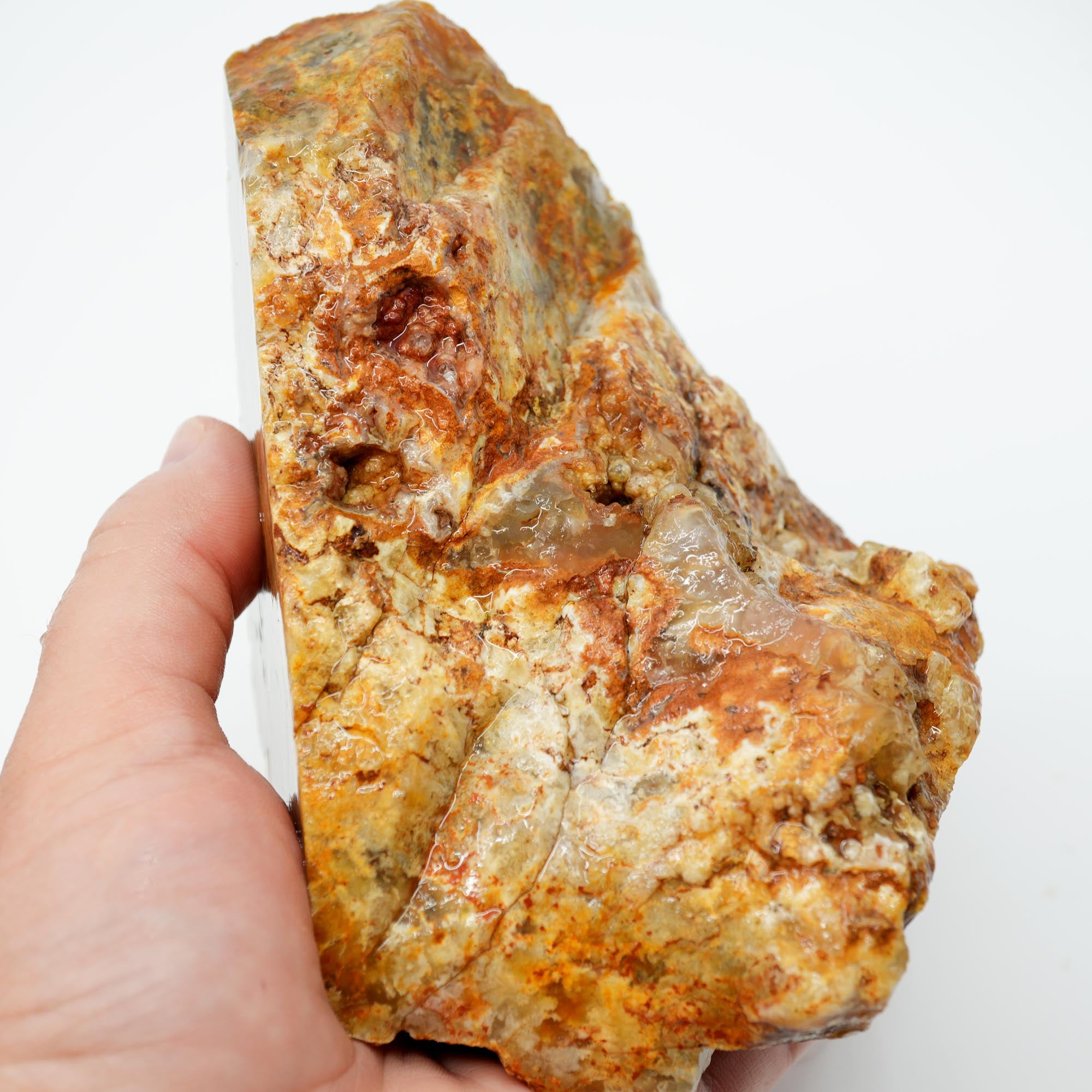 Regency Rose Plume Agate Rough - Old Stock Upward Plume with Red Cut Face