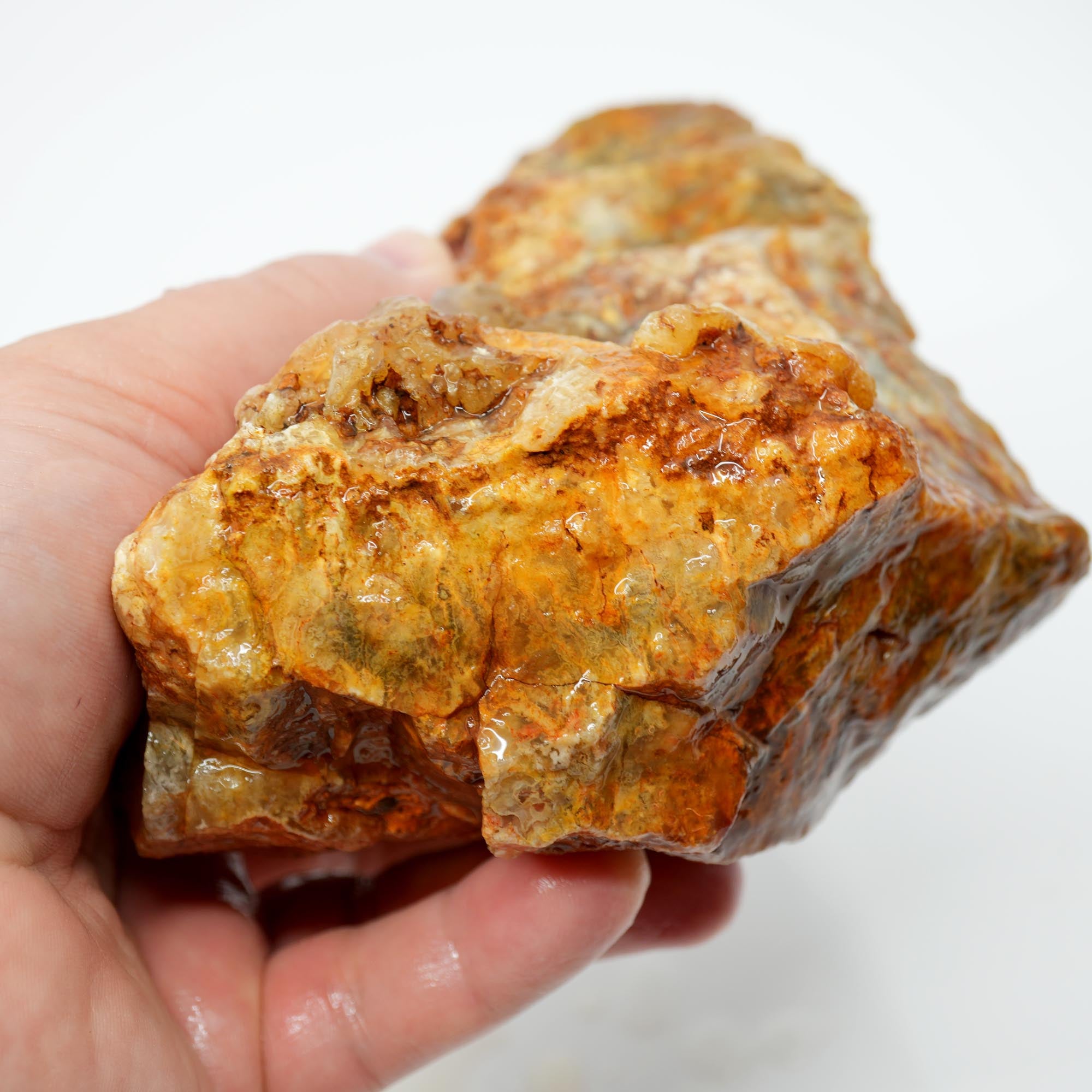 Regency Rose Plume Agate Rough - Old Stock Upward Plume with Red Cut Face