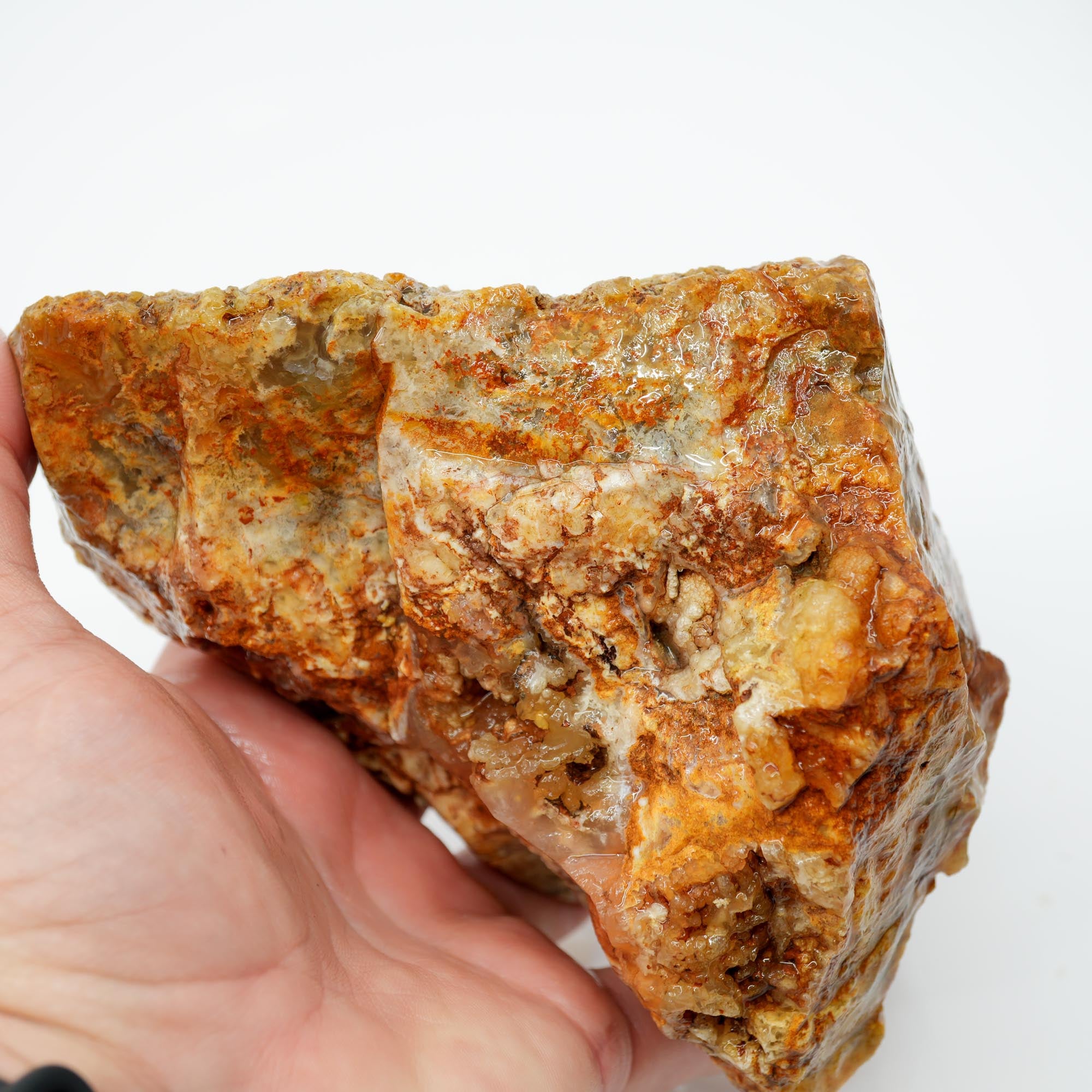Regency Rose Plume Agate Rough - Old Stock Upward Plume with Red Cut Face