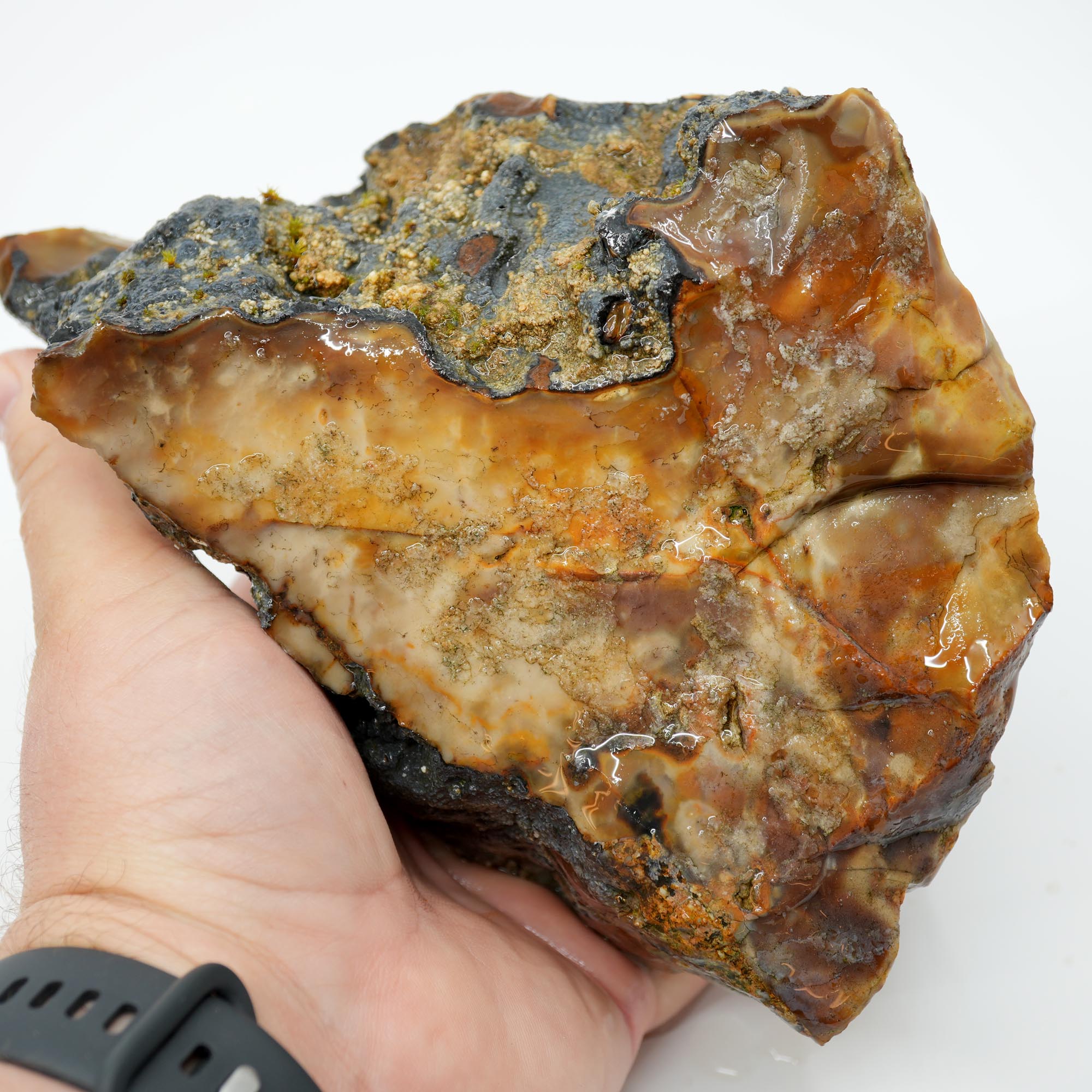 Paiute Jasper Rough - Old Stock Buckskin and Sunset with Smoky Tints