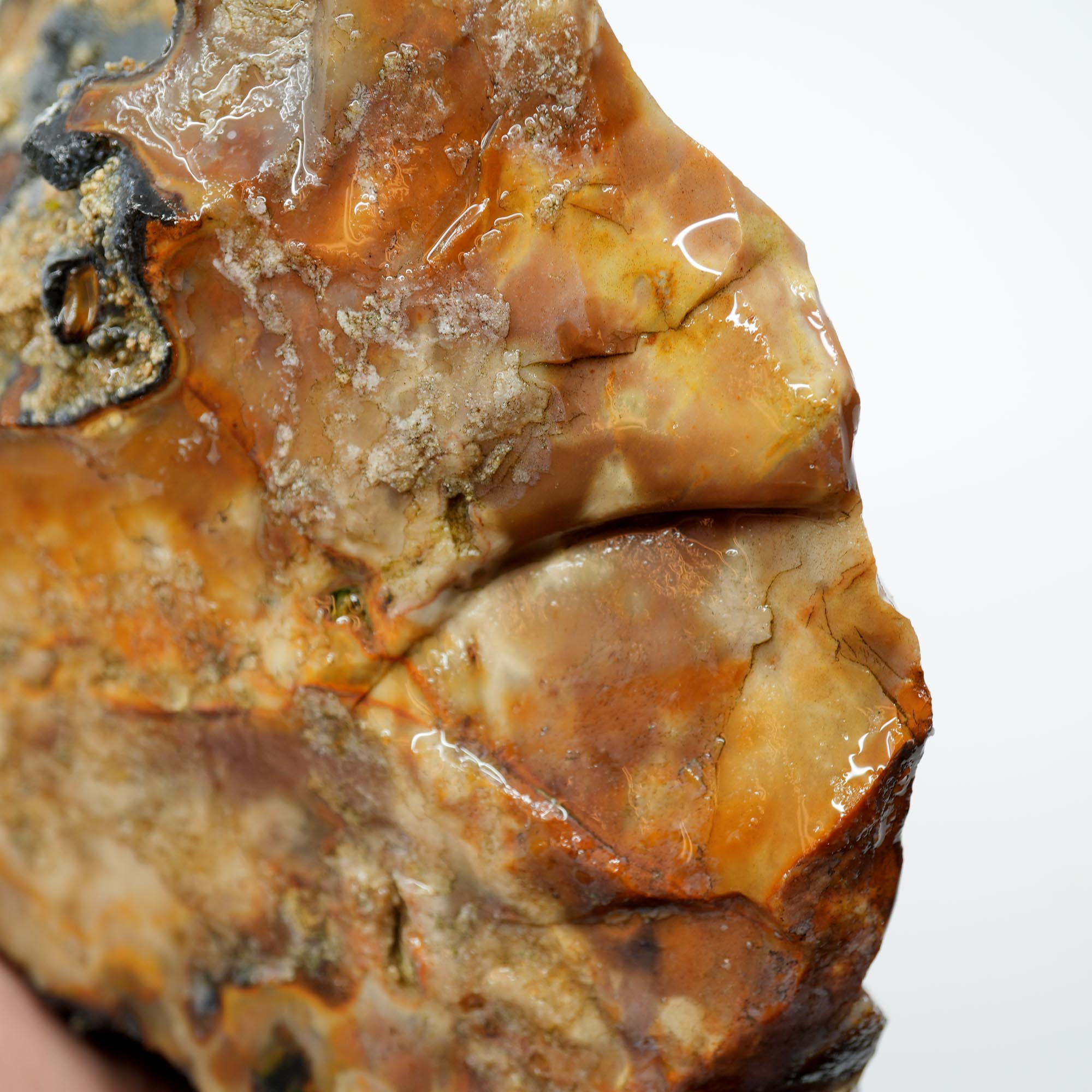 Paiute Jasper Rough - Old Stock Buckskin and Sunset with Smoky Tints