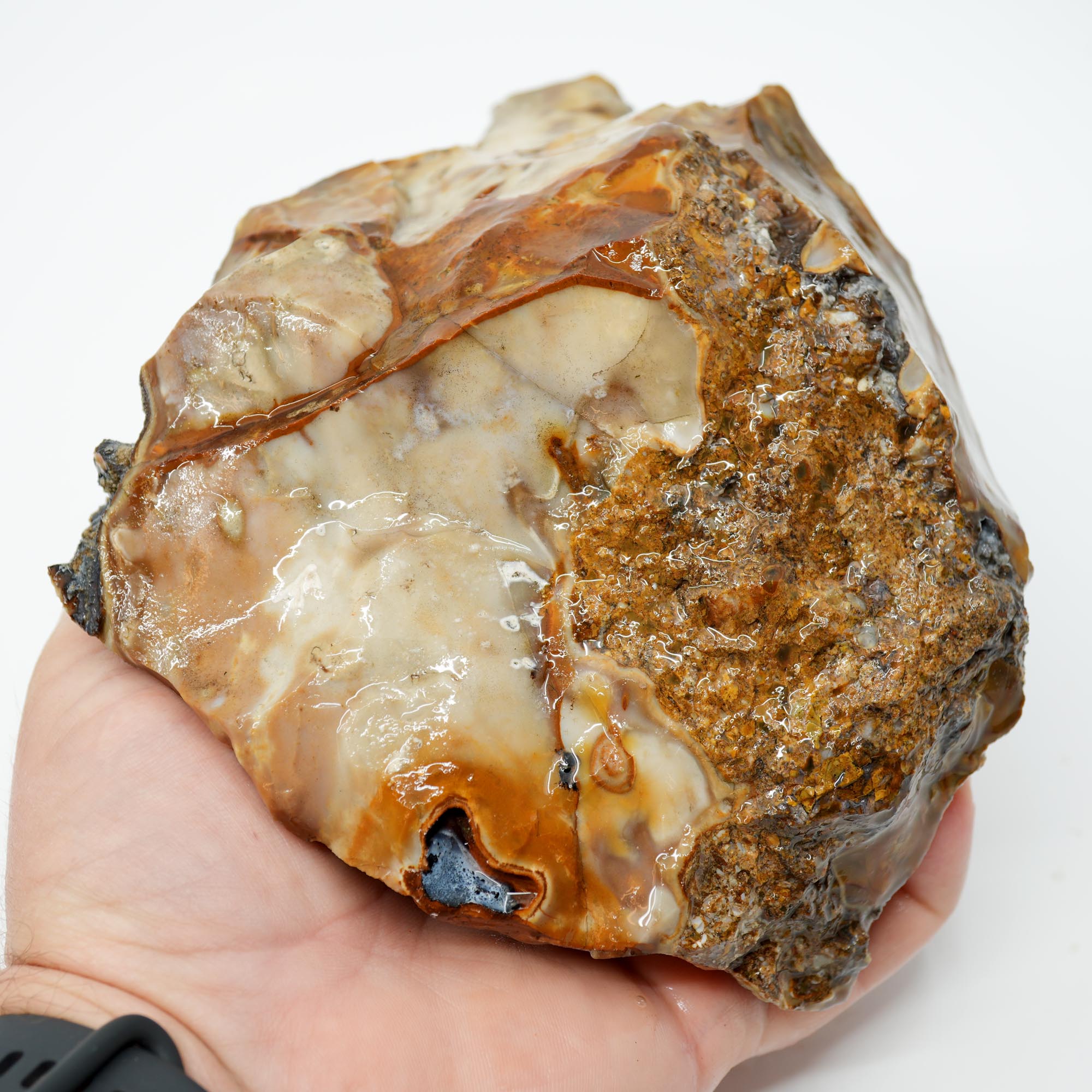 Paiute Jasper Rough - Old Stock Buckskin and Sunset with Smoky Tints