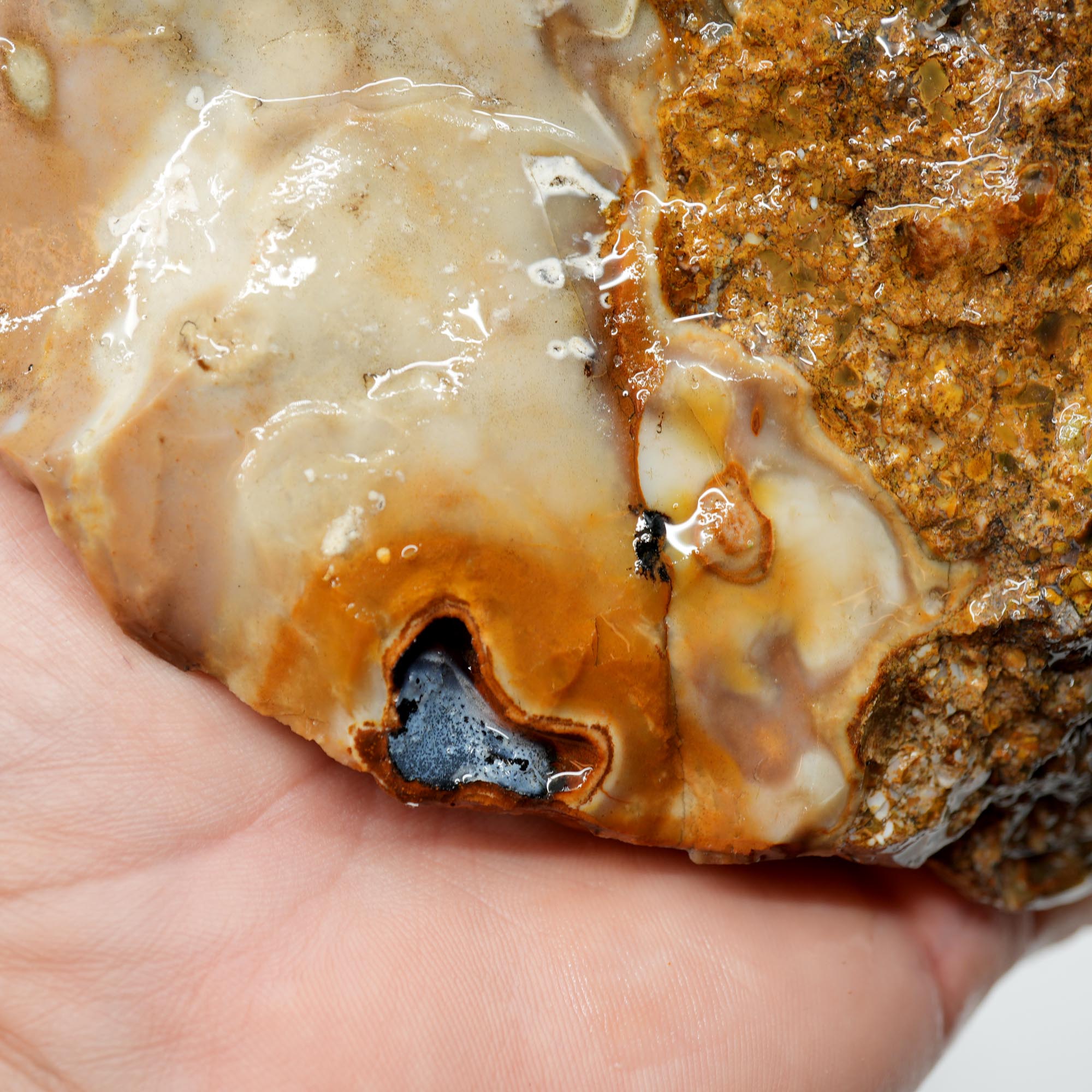 Paiute Jasper Rough - Old Stock Buckskin and Sunset with Smoky Tints