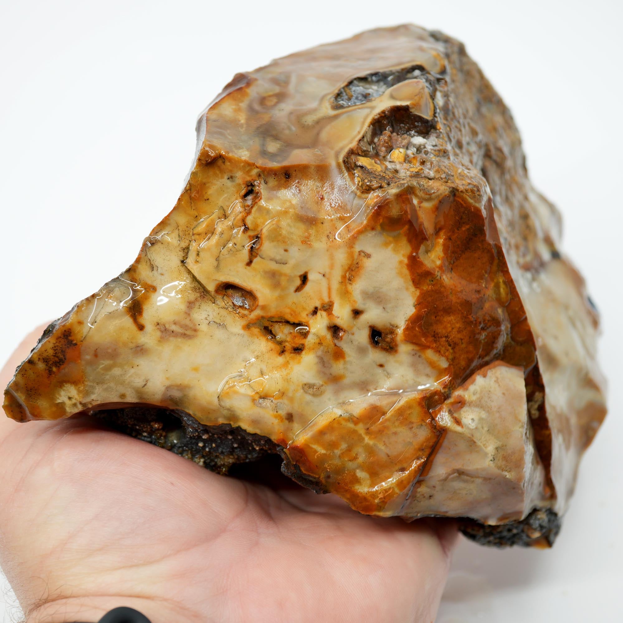 Paiute Jasper Rough - Old Stock Buckskin and Sunset with Smoky Tints