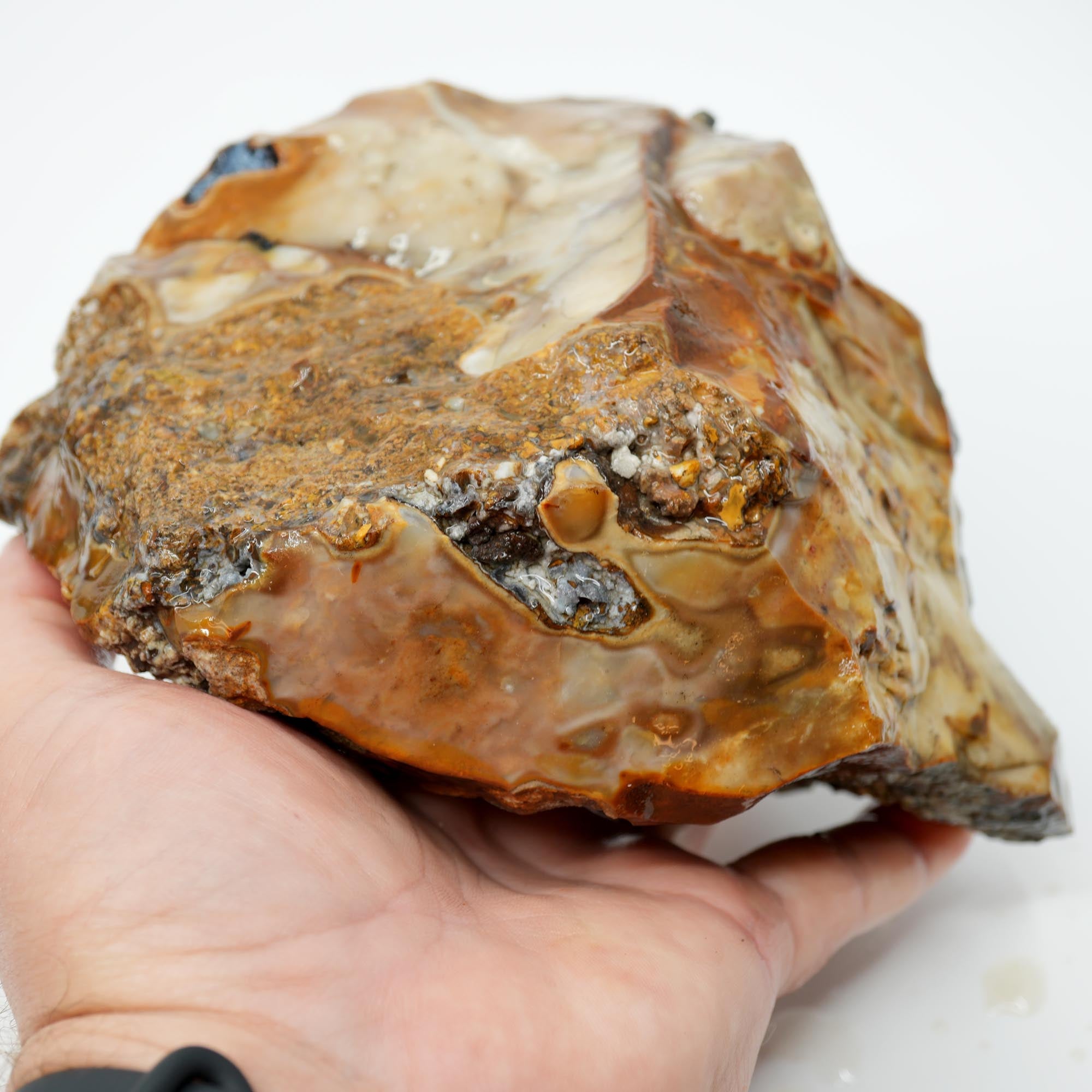 Paiute Jasper Rough - Old Stock Buckskin and Sunset with Smoky Tints