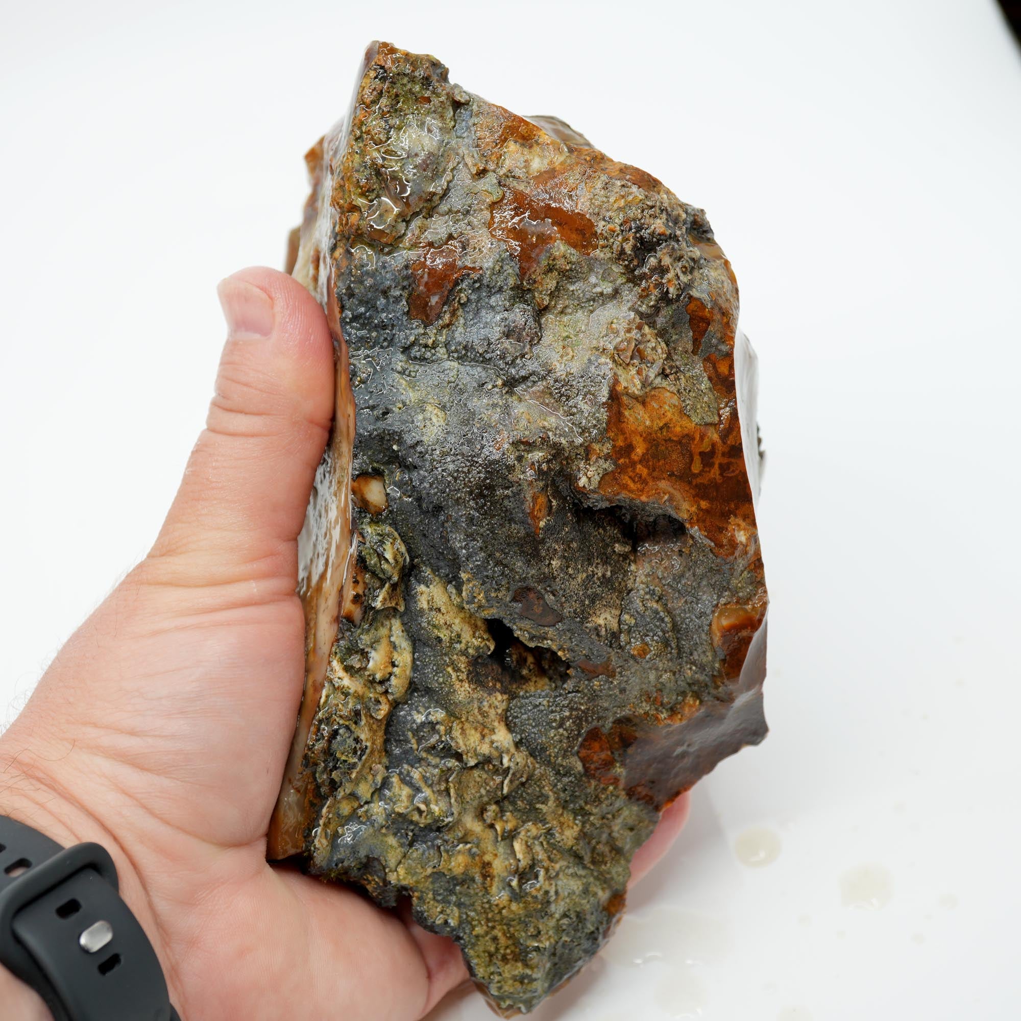 Paiute Jasper Rough - Old Stock Buckskin and Sunset with Smoky Tints