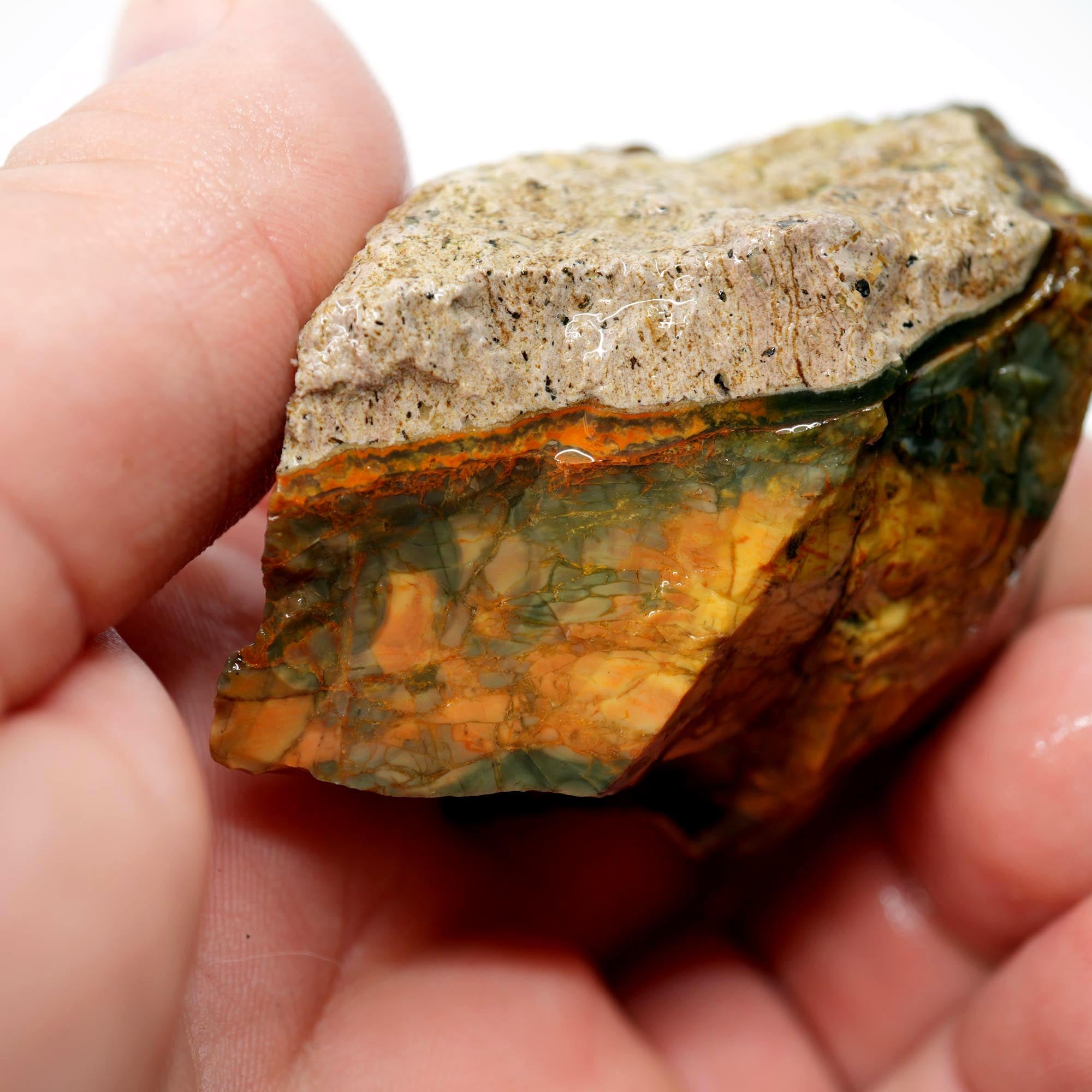 Morrisonite Jasper Rough - Pink Blue Cayenne Green with Orbicular Structures