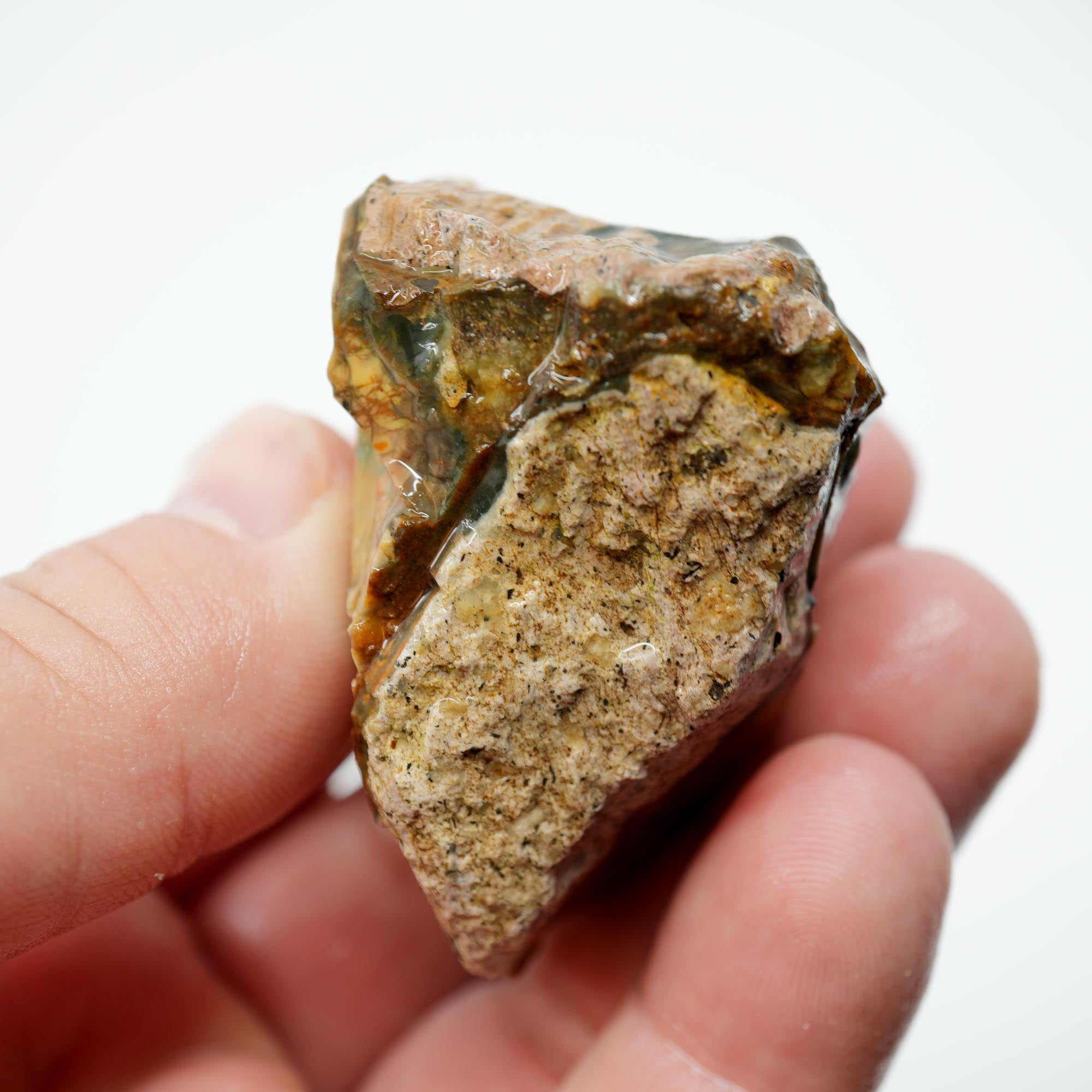 Morrisonite Jasper Rough - Pink Blue Cayenne Green with Orbicular Structures