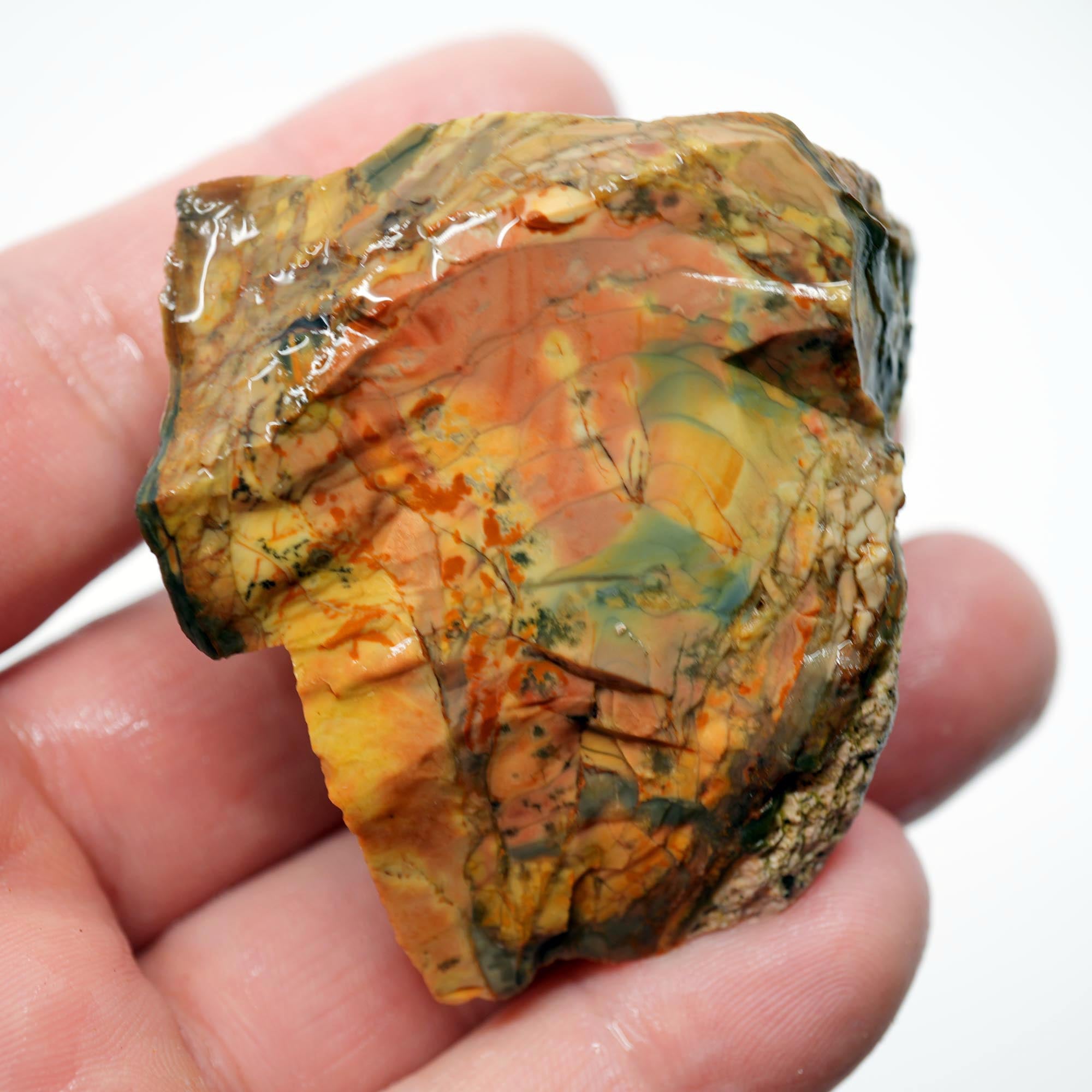 Morrisonite Jasper Rough - Pink Blue Cayenne Green with Orbicular Structures