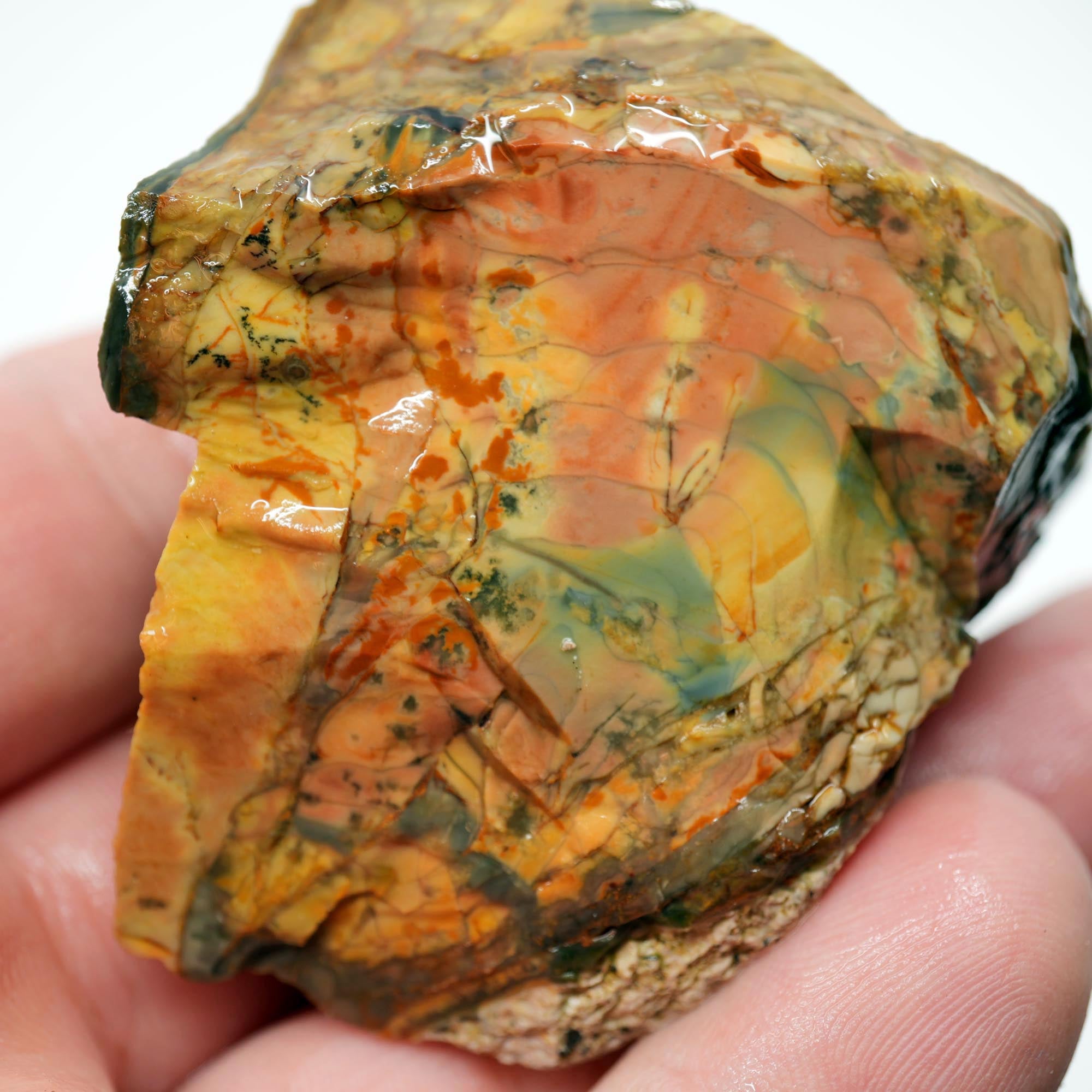 Morrisonite Jasper Rough - Pink Blue Cayenne Green with Orbicular Structures