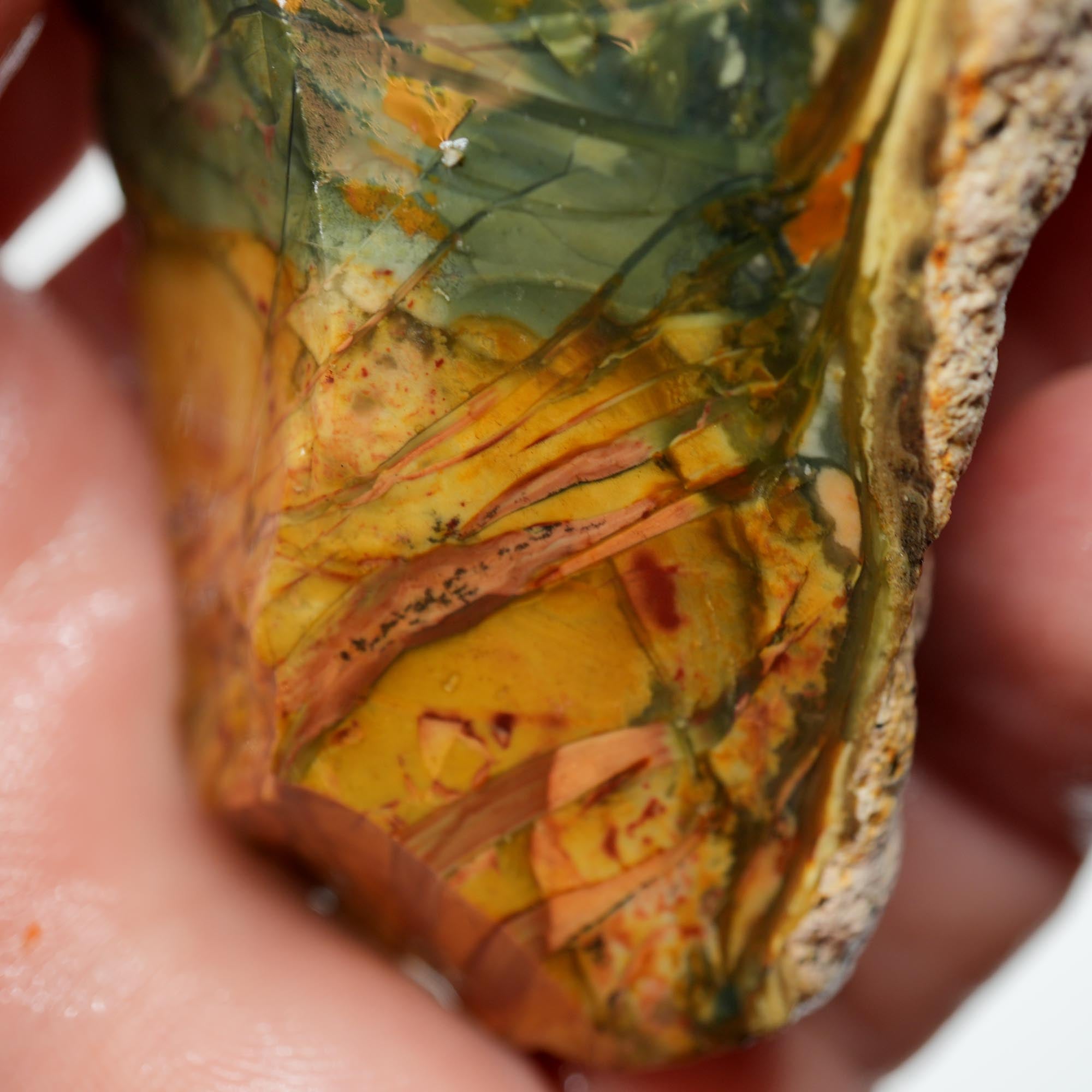 Morrisonite Jasper Rough - Cool Blue Pink with Orbicular Structures Display Trimmer