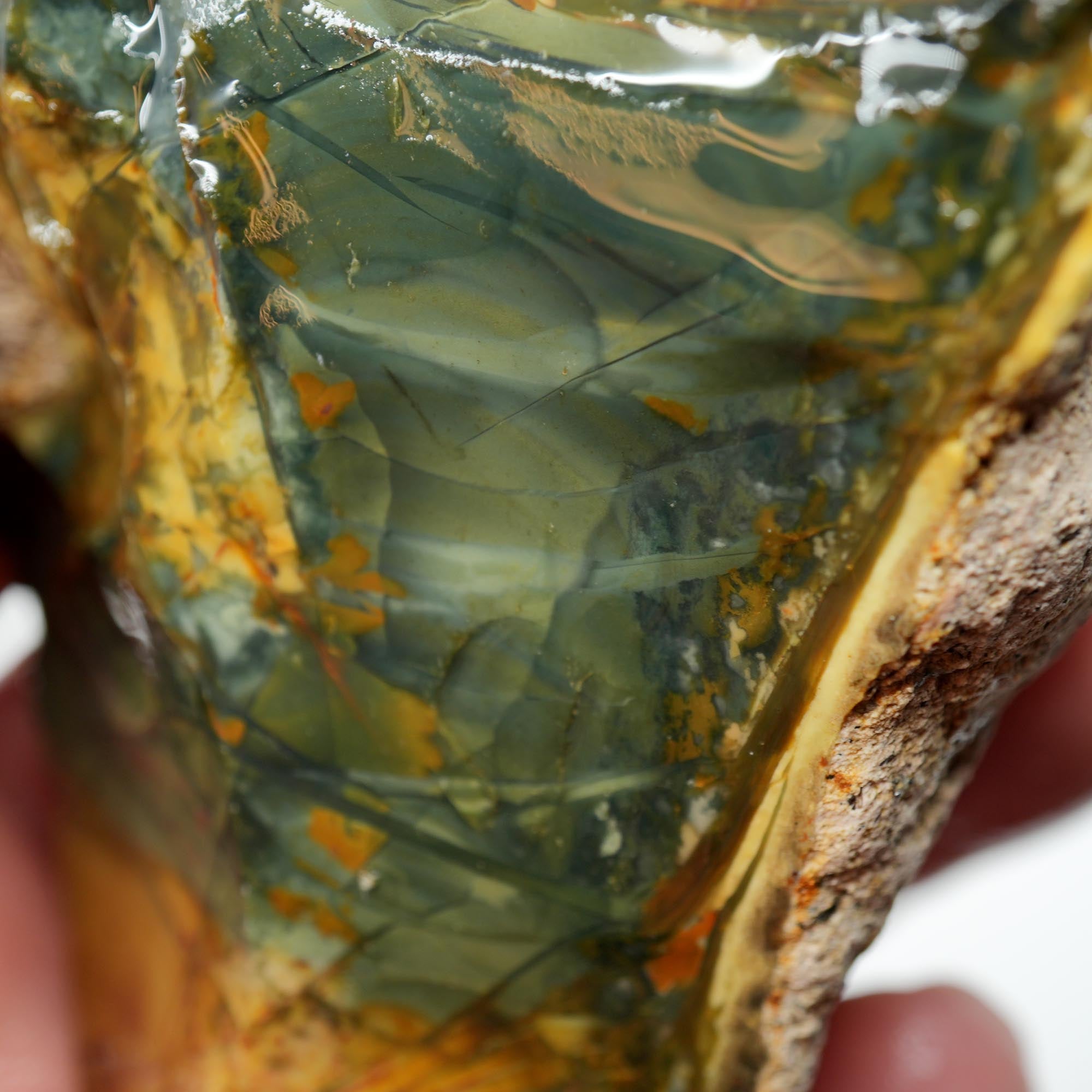 Morrisonite Jasper Rough - Cool Blue Pink with Orbicular Structures Display Trimmer