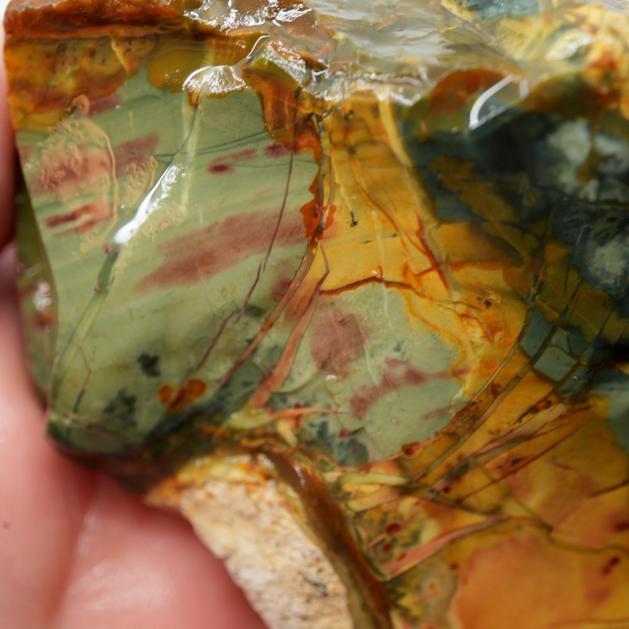 Morrisonite Jasper Rough - Cool Blue Pink with Orbicular Structures Display Trimmer