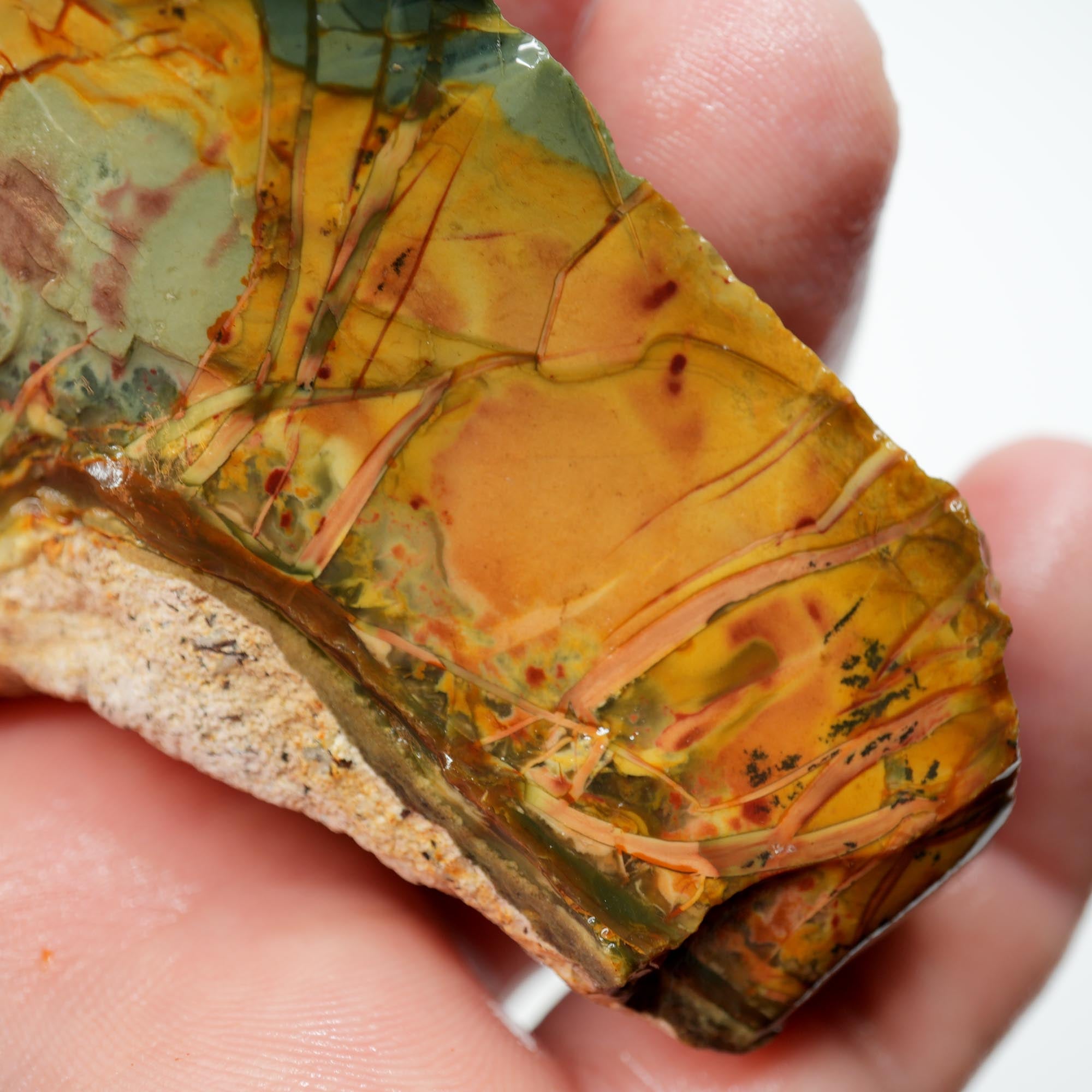Morrisonite Jasper Rough - Cool Blue Pink with Orbicular Structures Display Trimmer