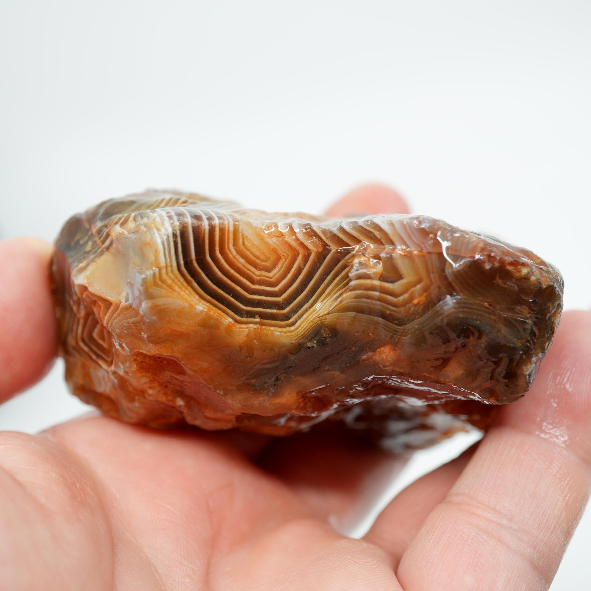 Botswana Agate Rough - Old Stock Fortification with Deep Blue Trimmer