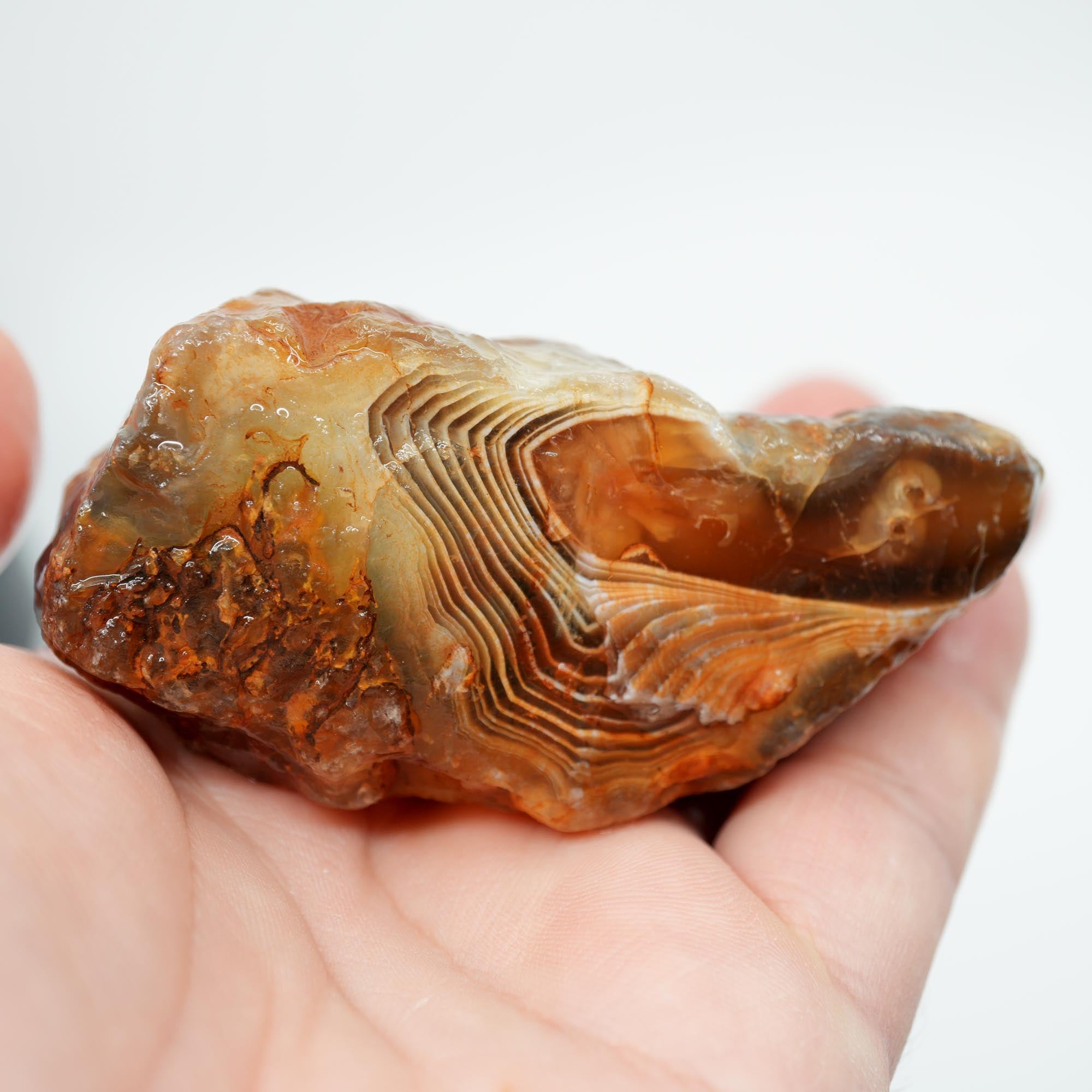Botswana Agate Rough - Old Stock Fortification with Deep Blue Trimmer