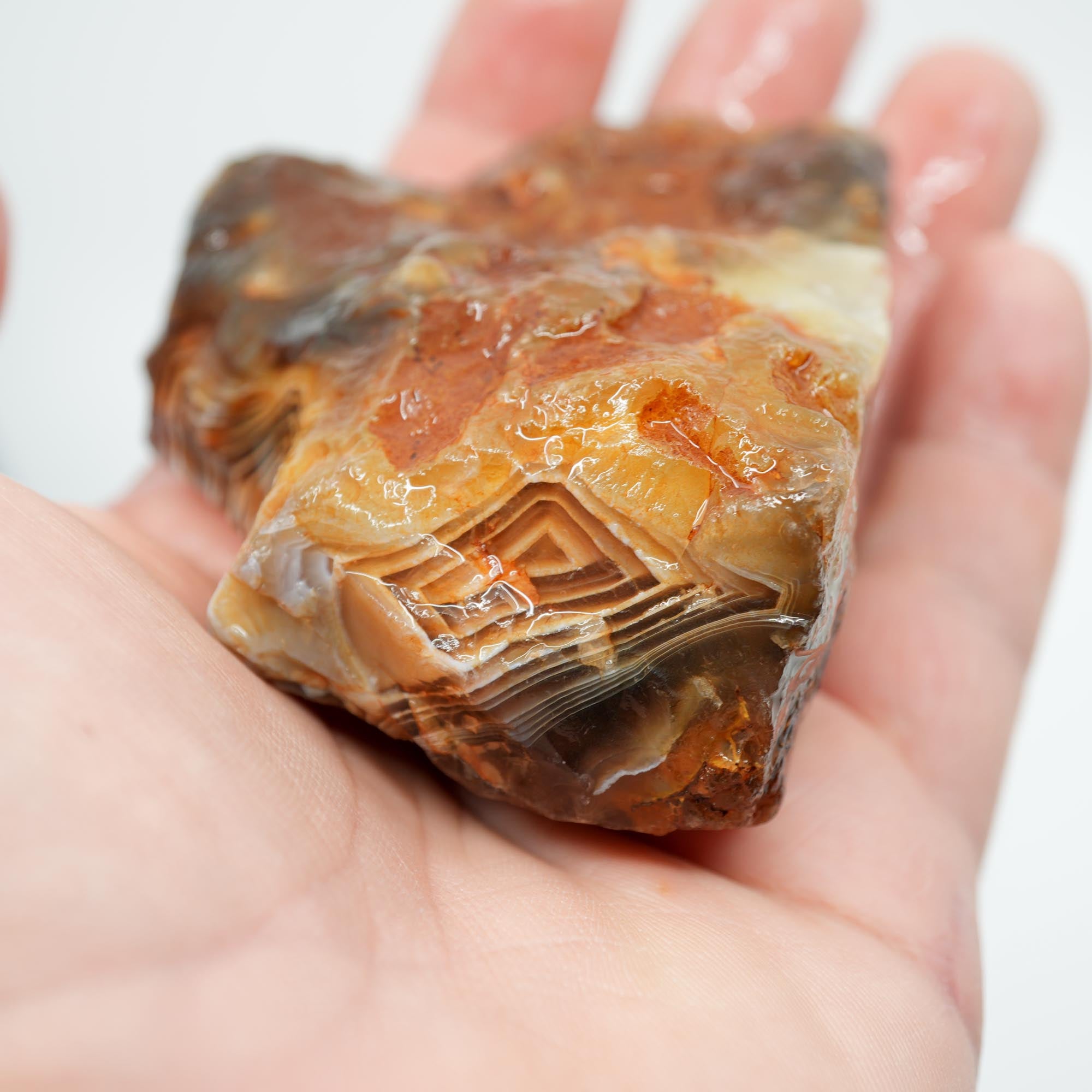 Botswana Agate Rough - Old Stock Fortification with Deep Blue Trimmer
