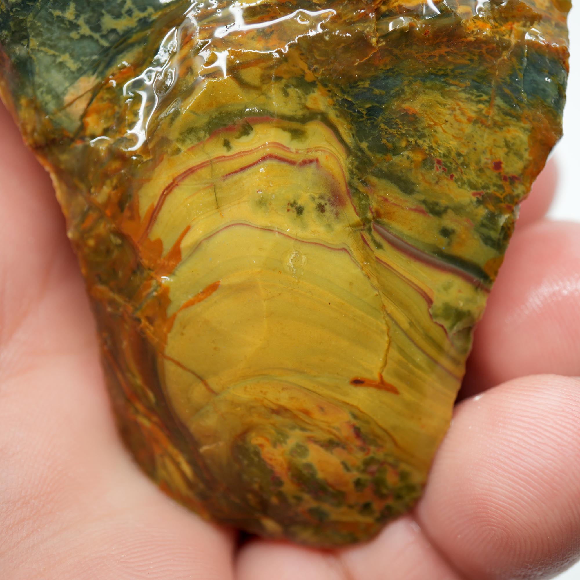 Morrisonite Jasper Rough Nodule - Half Orbicular Flowing Pattern Green Blue