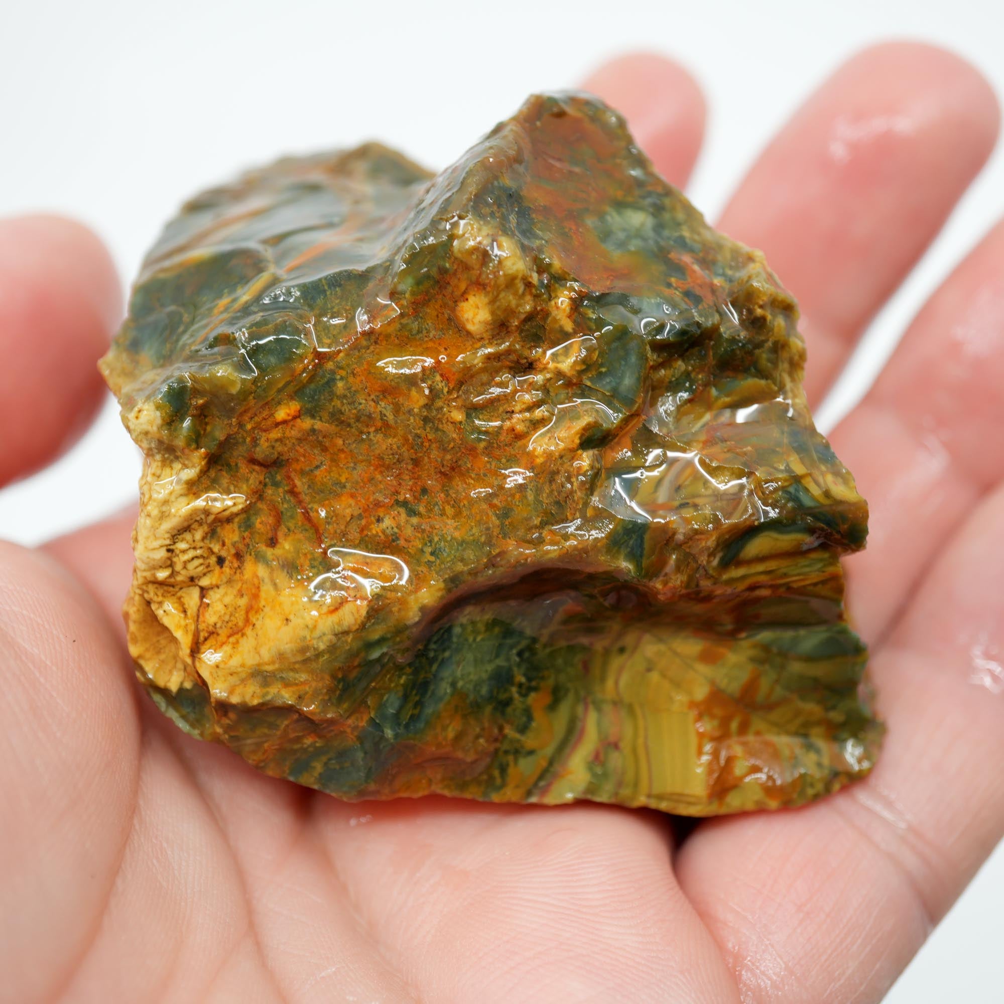 Morrisonite Jasper Rough Nodule - Half Orbicular Flowing Pattern Green Blue