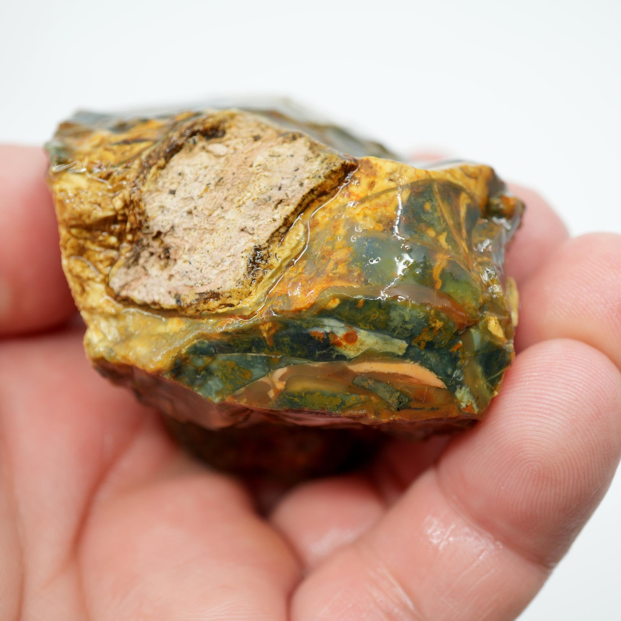 Morrisonite Jasper Rough Nodule - Half Orbicular Flowing Pattern Green Blue