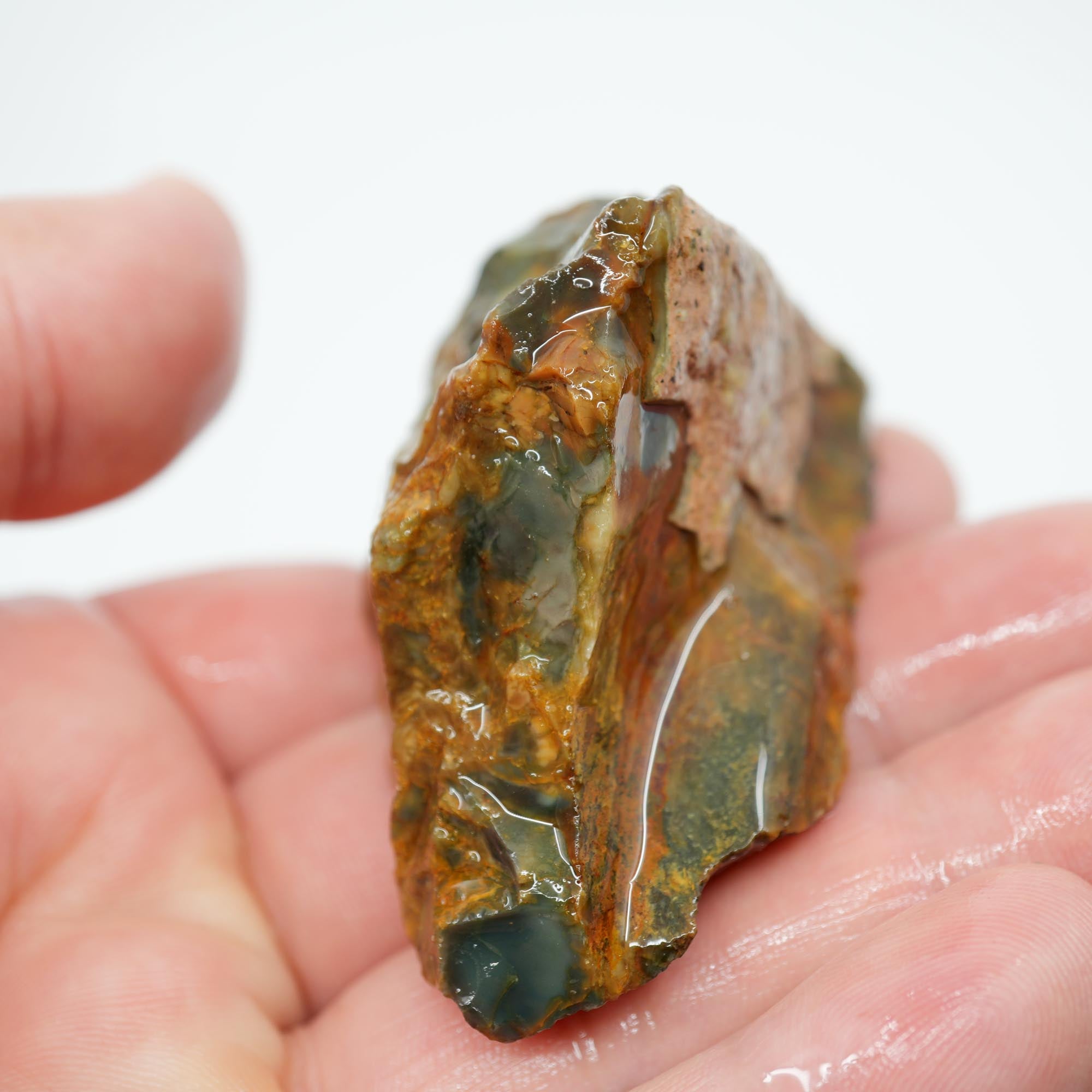 Morrisonite Jasper Rough - Old Stock Dominant Green Blue Pattern Trimmer
