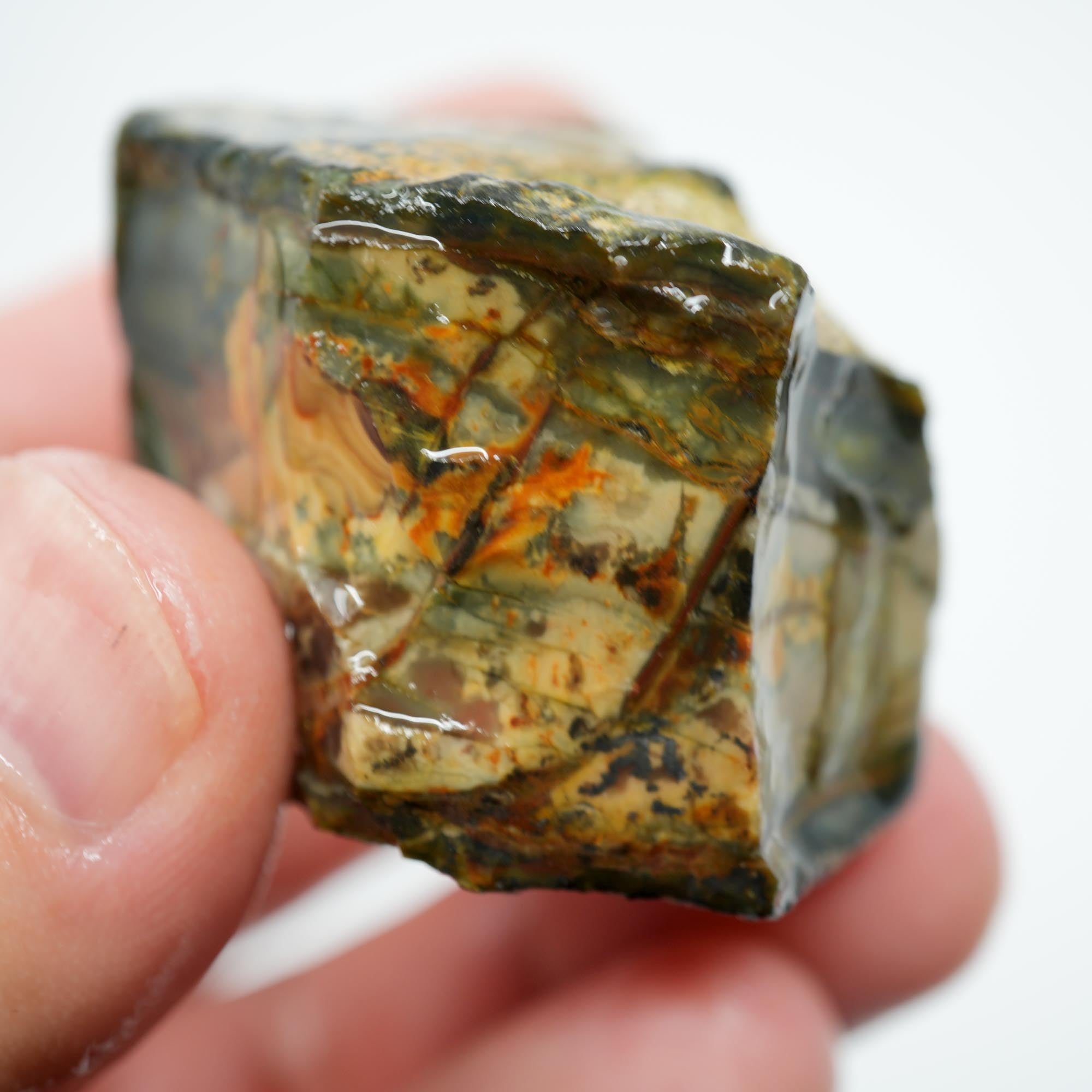 Morrisonite Jasper Rough - Great Pattern Trimmer with Partially Healed Fracture
