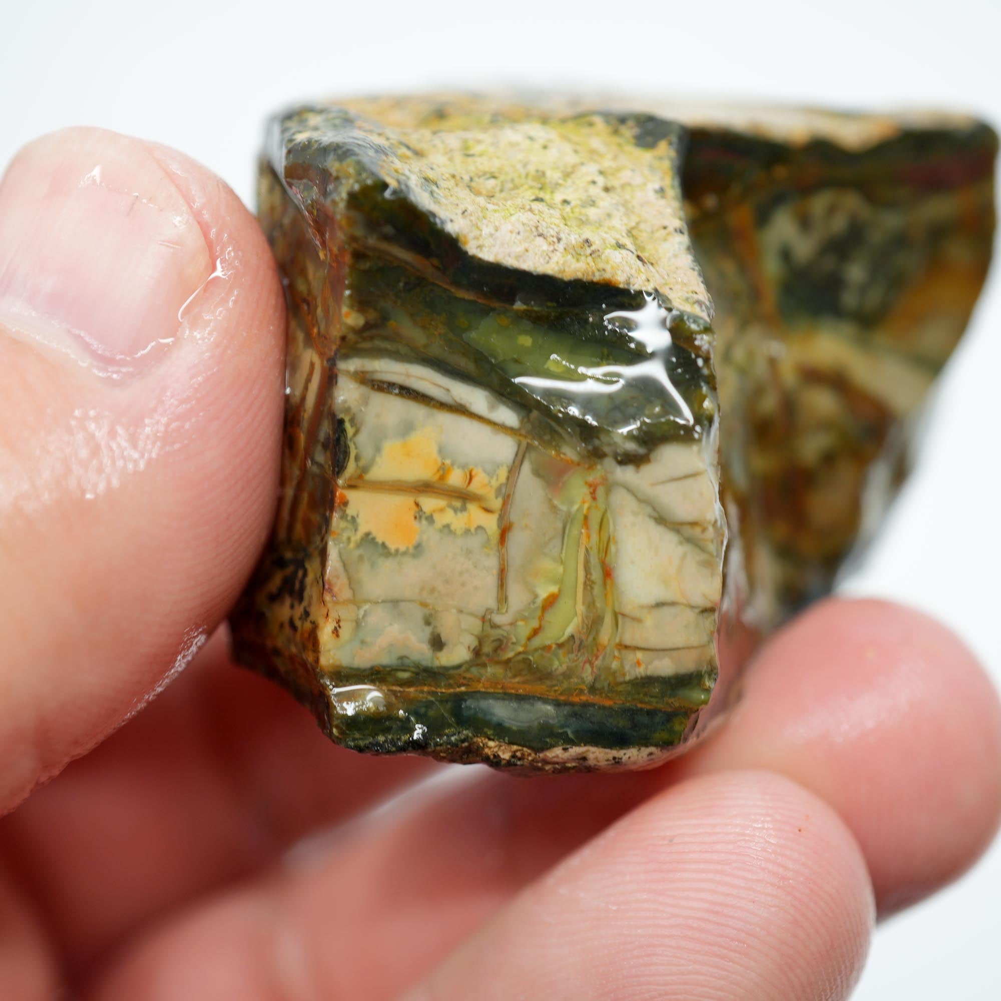 Morrisonite Jasper Rough - Great Pattern Trimmer with Partially Healed Fracture