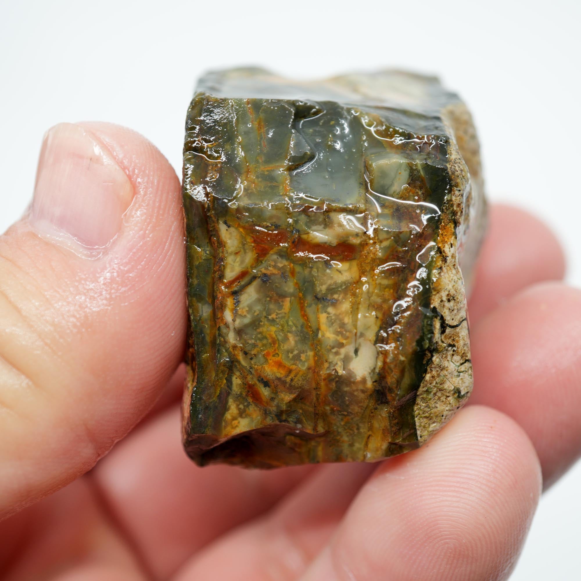 Morrisonite Jasper Rough - Great Pattern Trimmer with Partially Healed Fracture