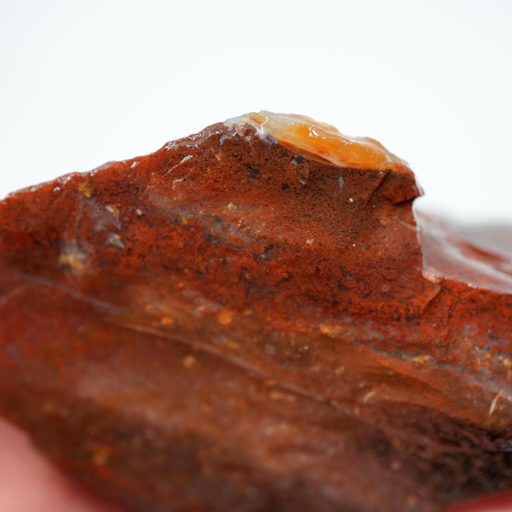 Carey Plume Agate Rough - Old Stock Beautiful Red with Plume Potential Trimmer