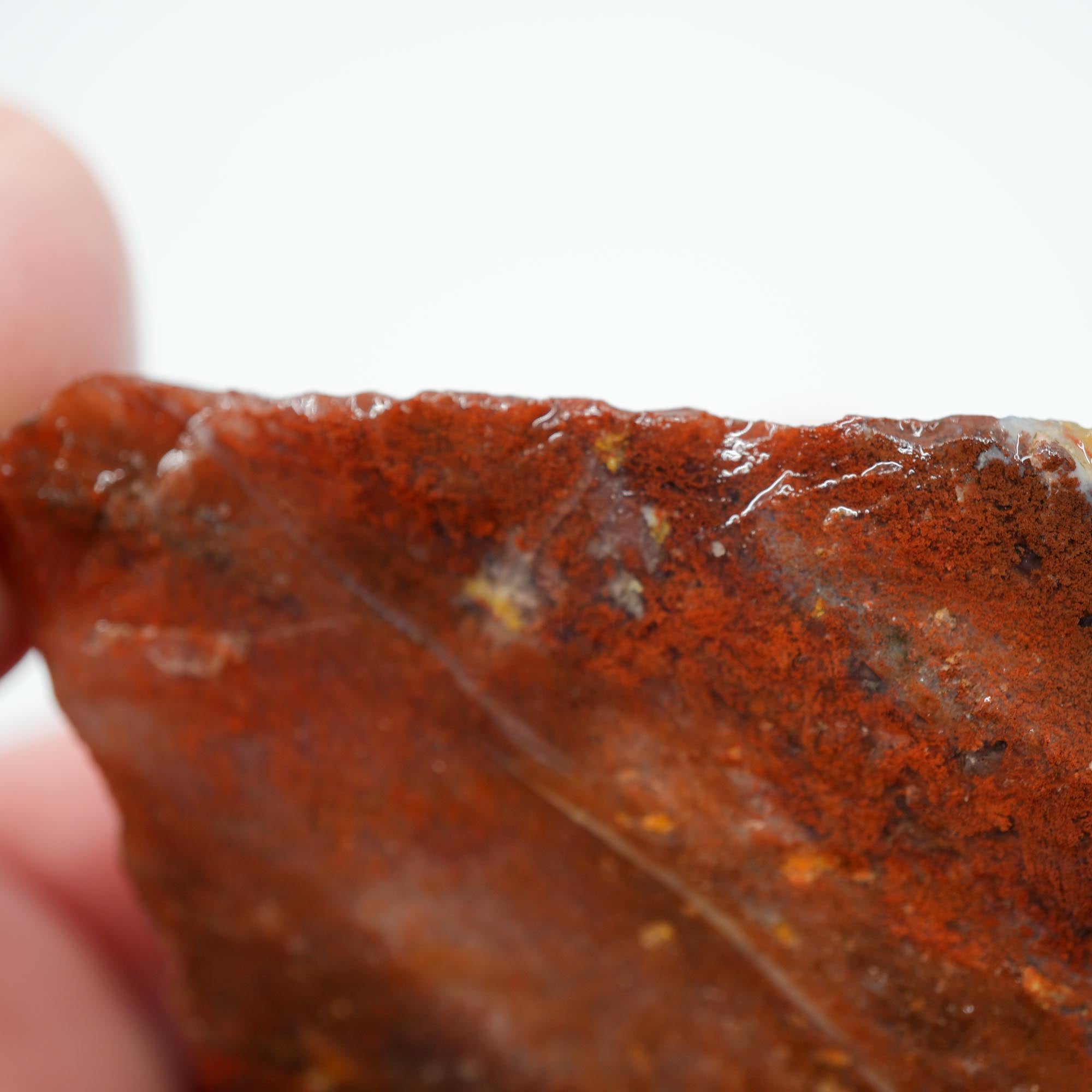Carey Plume Agate Rough - Old Stock Beautiful Red with Plume Potential Trimmer