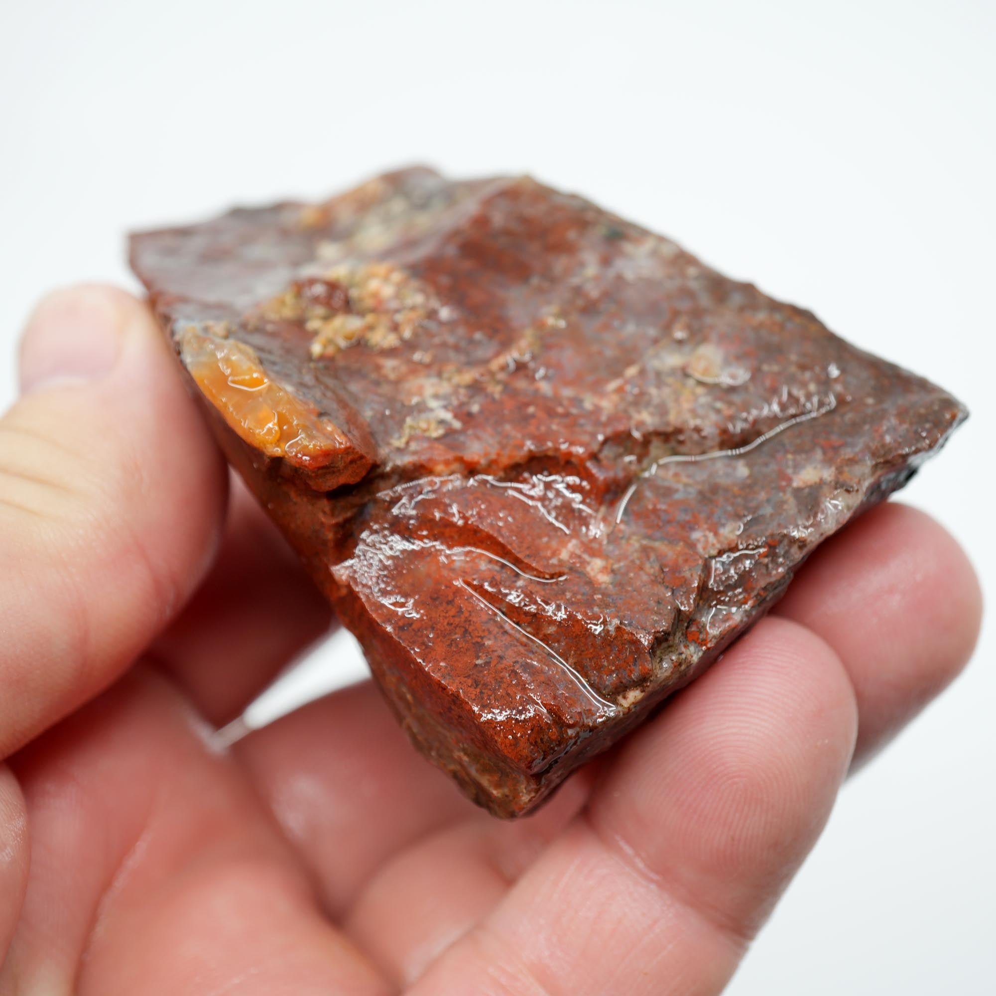 Carey Plume Agate Rough - Old Stock Beautiful Red with Plume Potential Trimmer