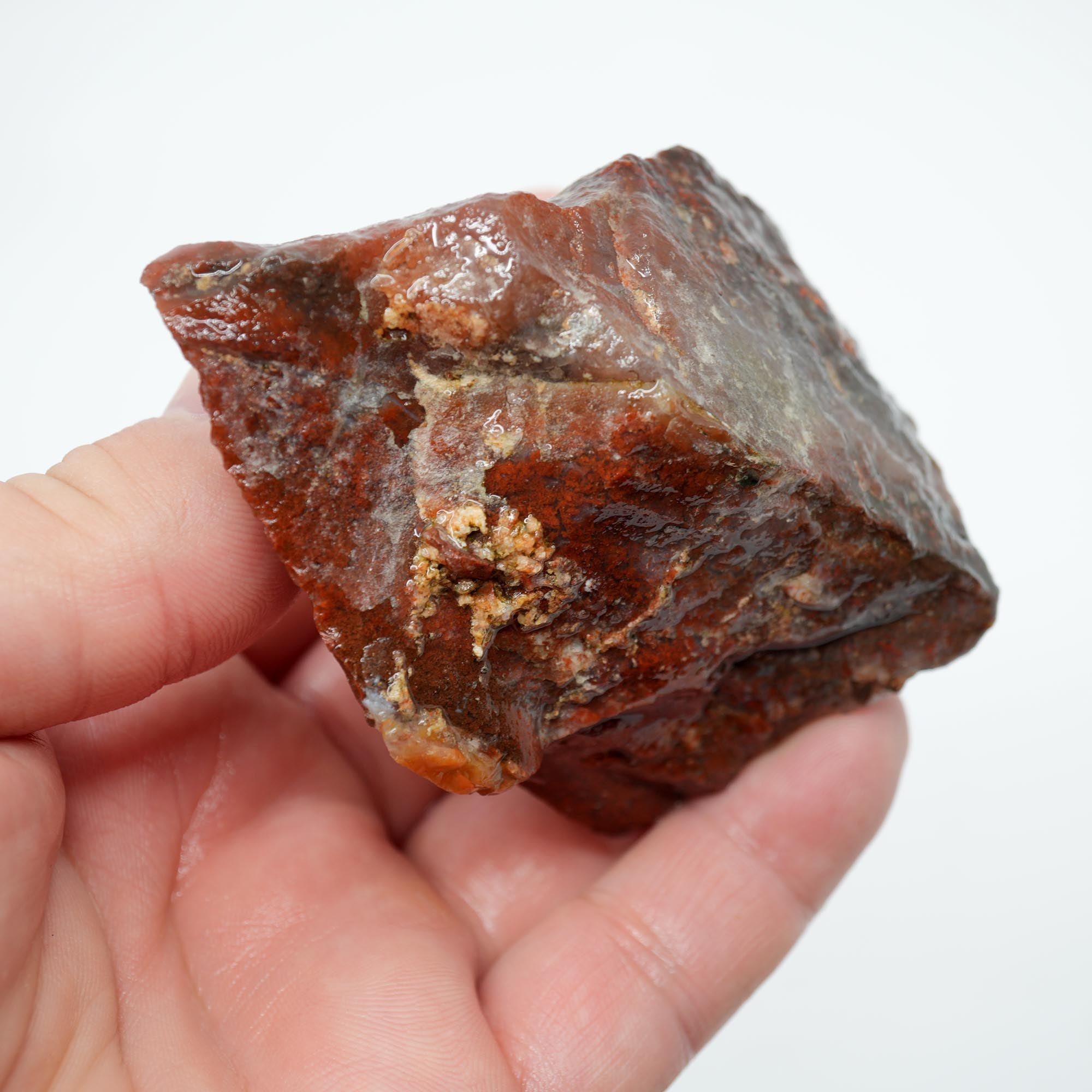Carey Plume Agate Rough - Old Stock Beautiful Red with Plume Potential Trimmer