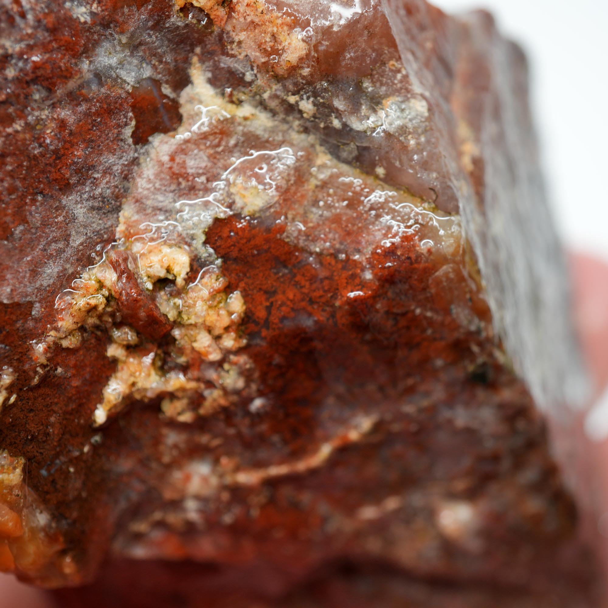 Carey Plume Agate Rough - Old Stock Beautiful Red with Plume Potential Trimmer