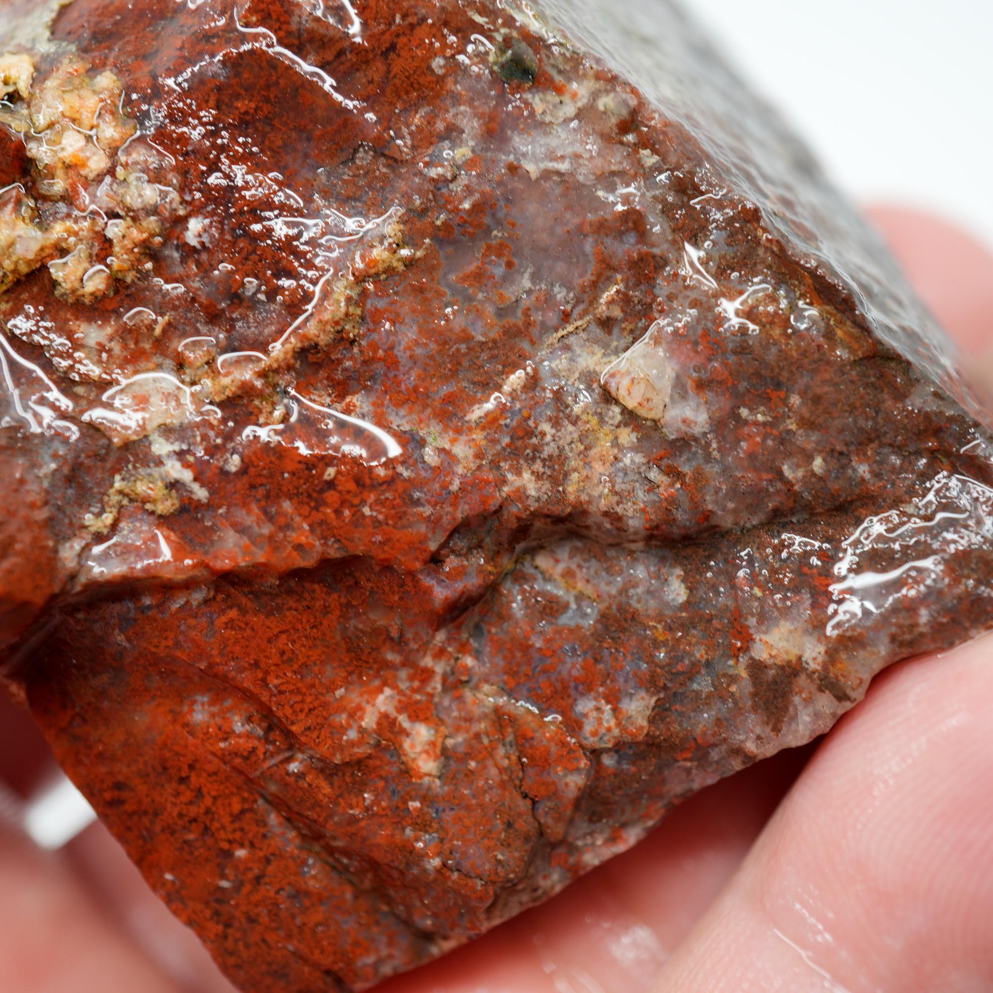 Carey Plume Agate Rough - Old Stock Beautiful Red with Plume Potential Trimmer