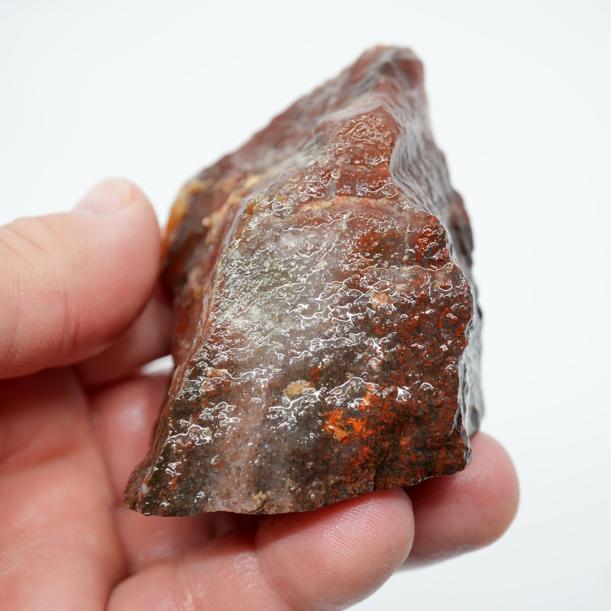 Carey Plume Agate Rough - Old Stock Beautiful Red with Plume Potential Trimmer