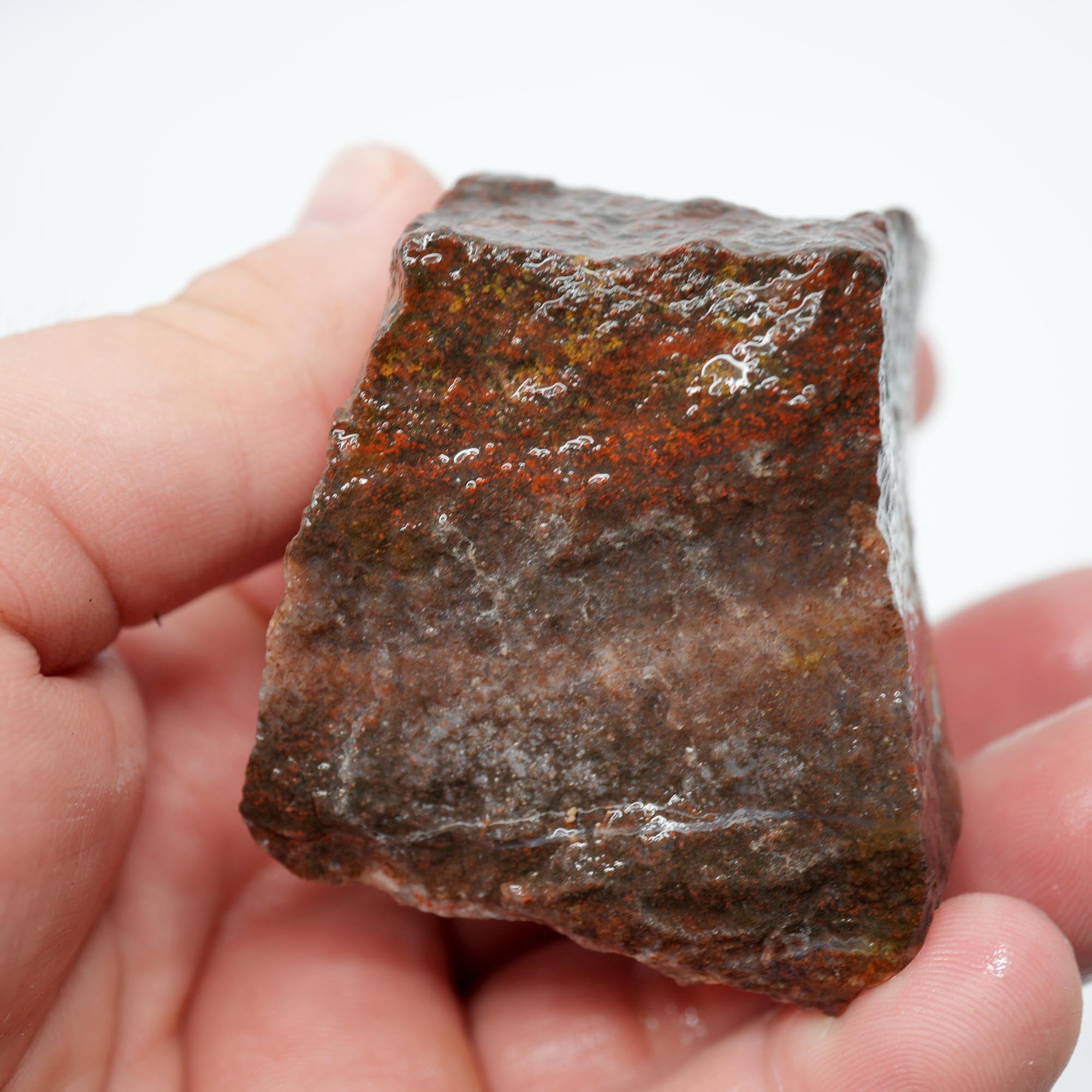 Carey Plume Agate Rough - Old Stock Beautiful Red with Plume Potential Trimmer