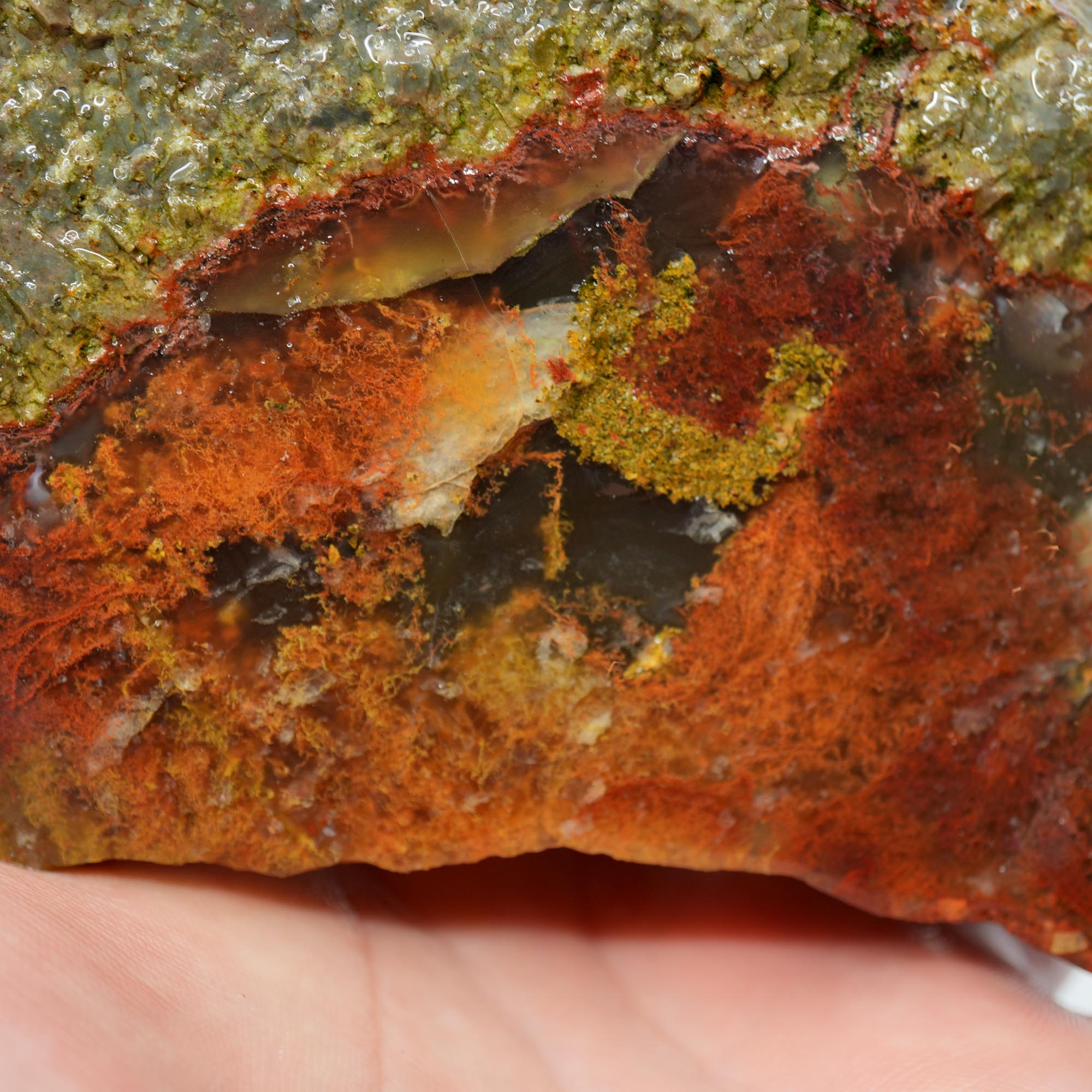Lucky Strike Thunderegg Rough - Possibly Desolation Canyon Half Thunderegg Moss