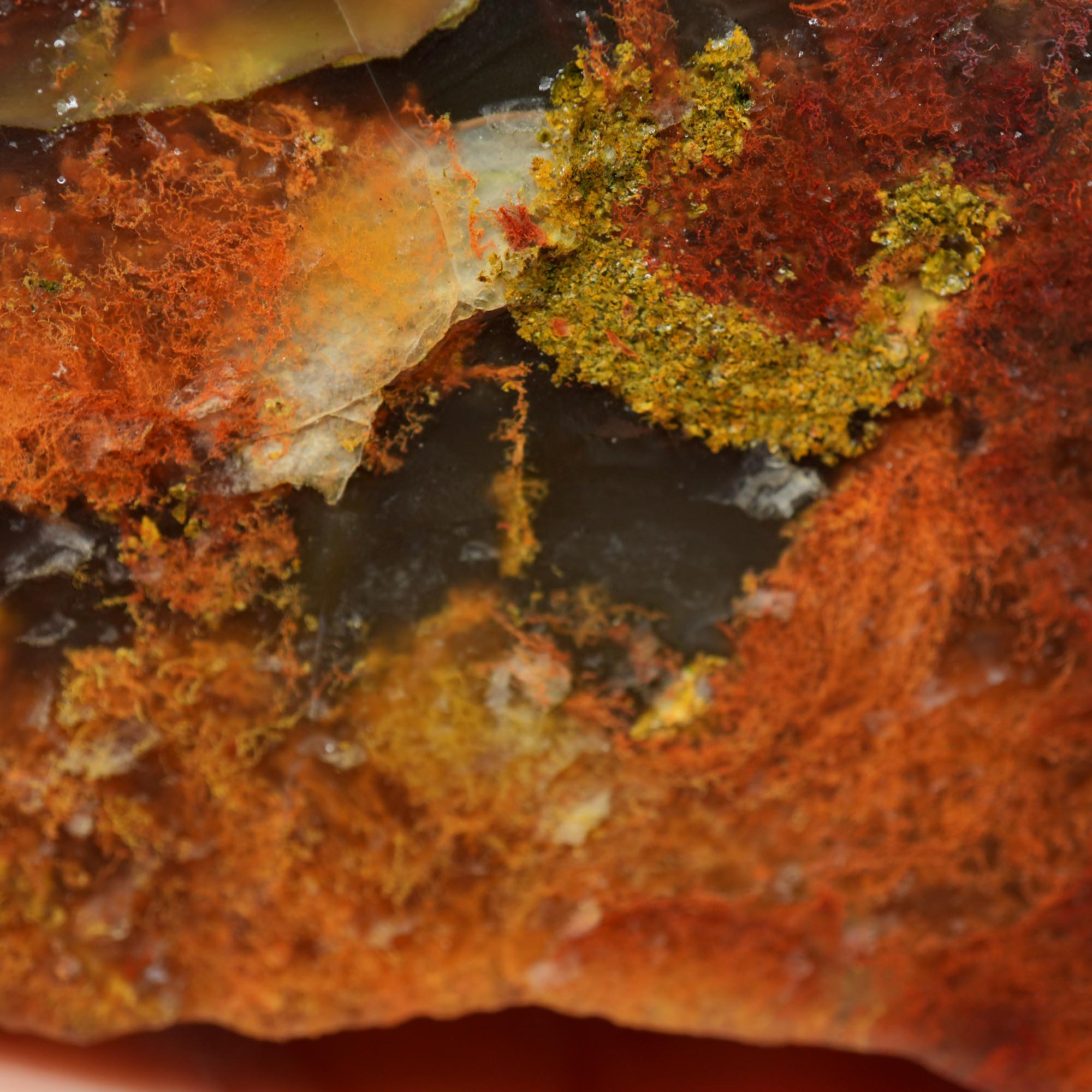 Lucky Strike Thunderegg Rough - Possibly Desolation Canyon Half Thunderegg Moss