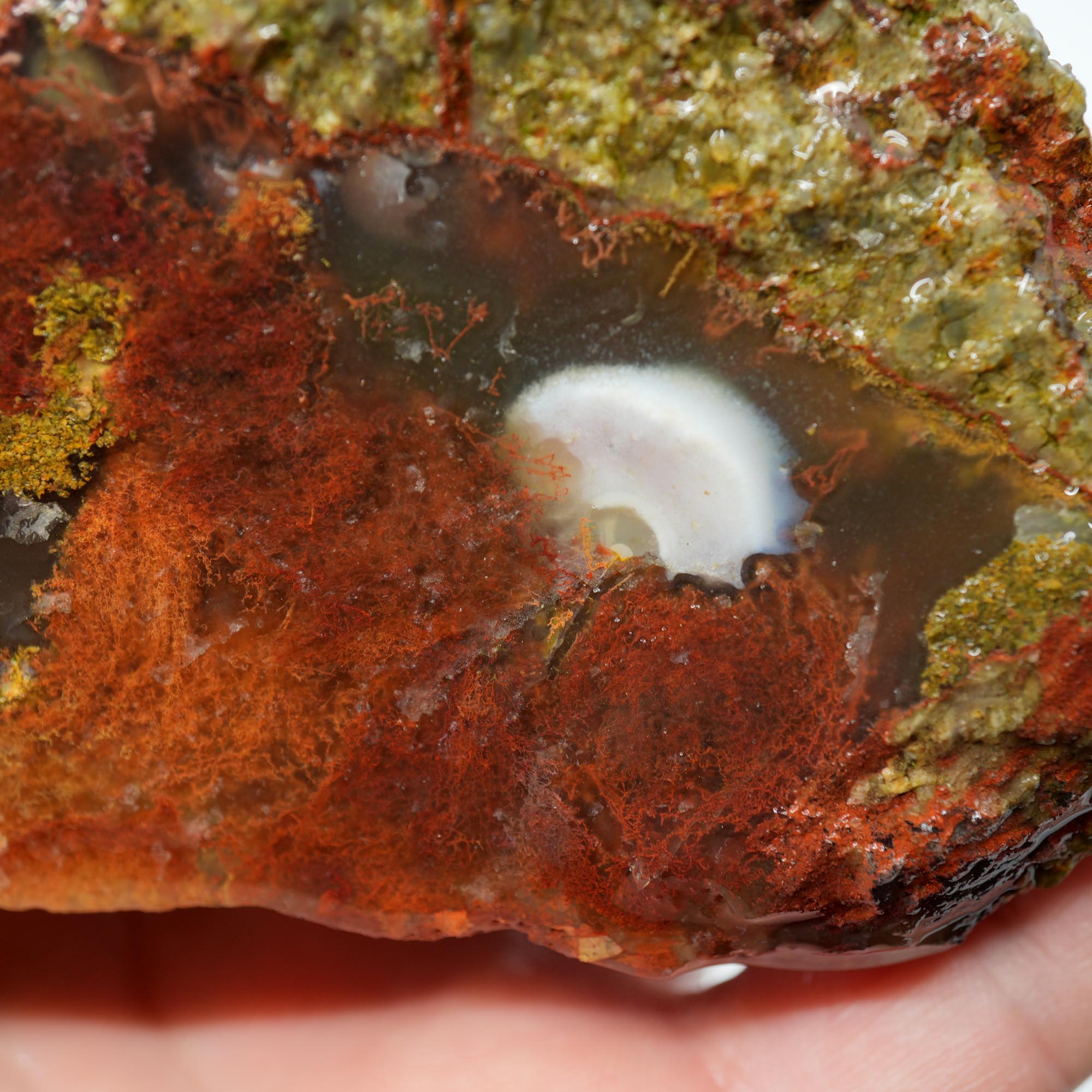Lucky Strike Thunderegg Rough - Possibly Desolation Canyon Half Thunderegg Moss