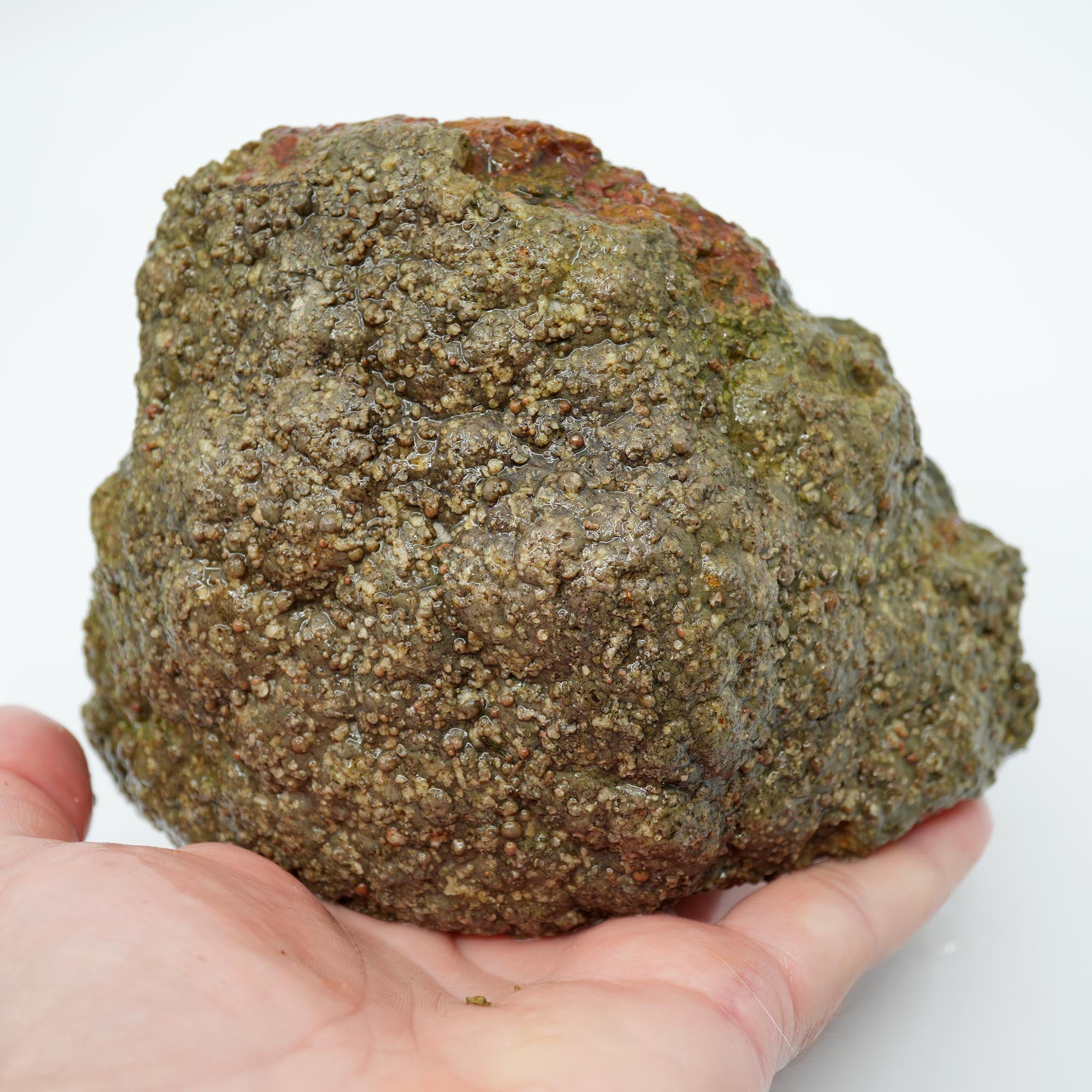 Lucky Strike Thunderegg Rough - Possibly Desolation Canyon Half Thunderegg Moss