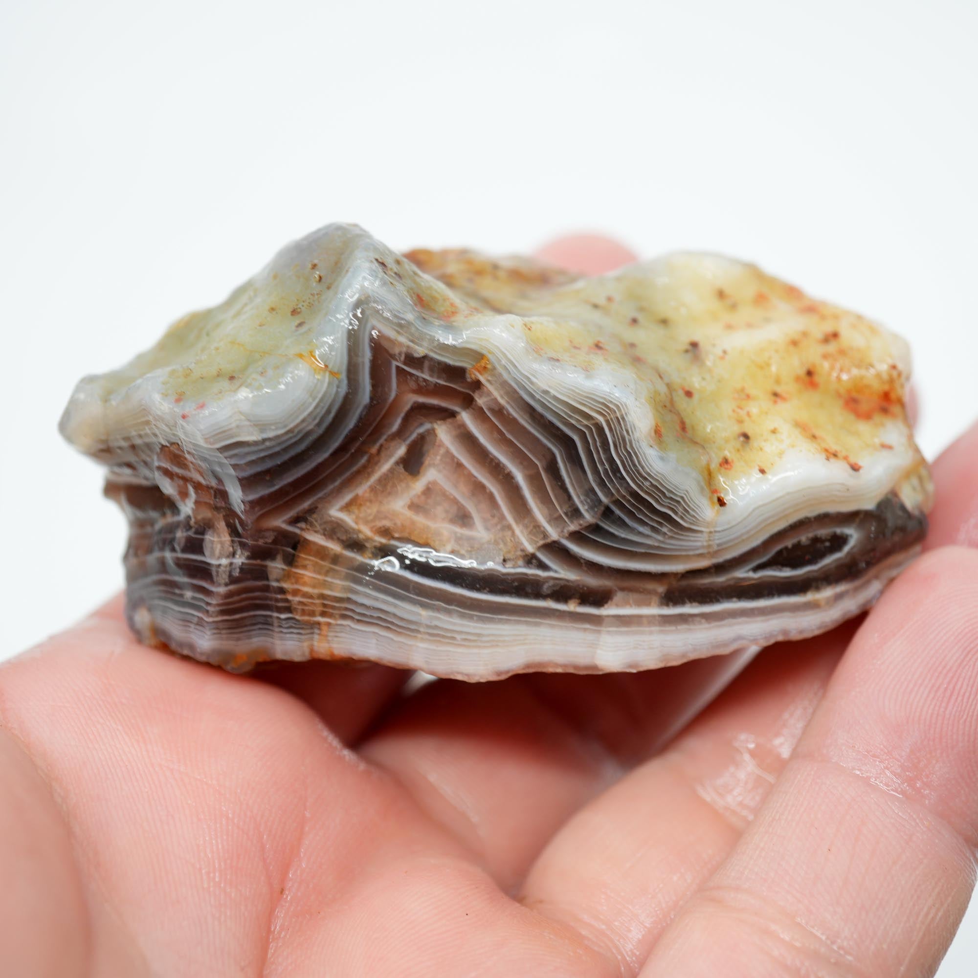 Botswana Agate Rough - Old Stock Blue Shadow Banding Trimmer