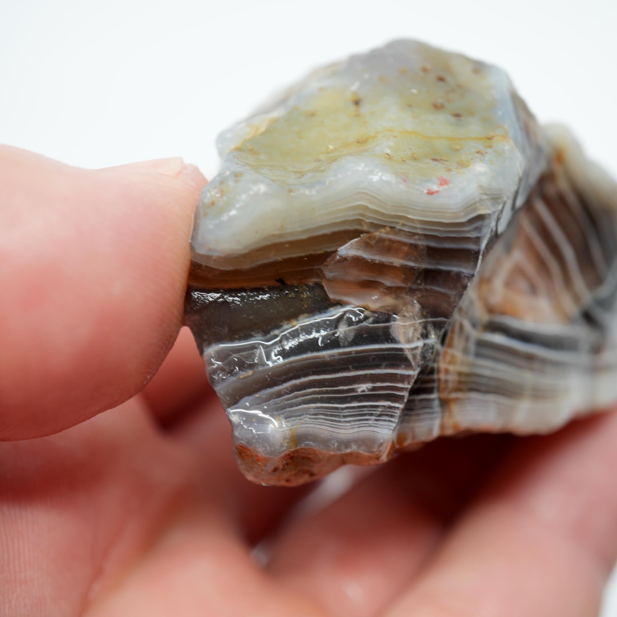 Botswana Agate Rough - Old Stock Blue Shadow Banding Trimmer