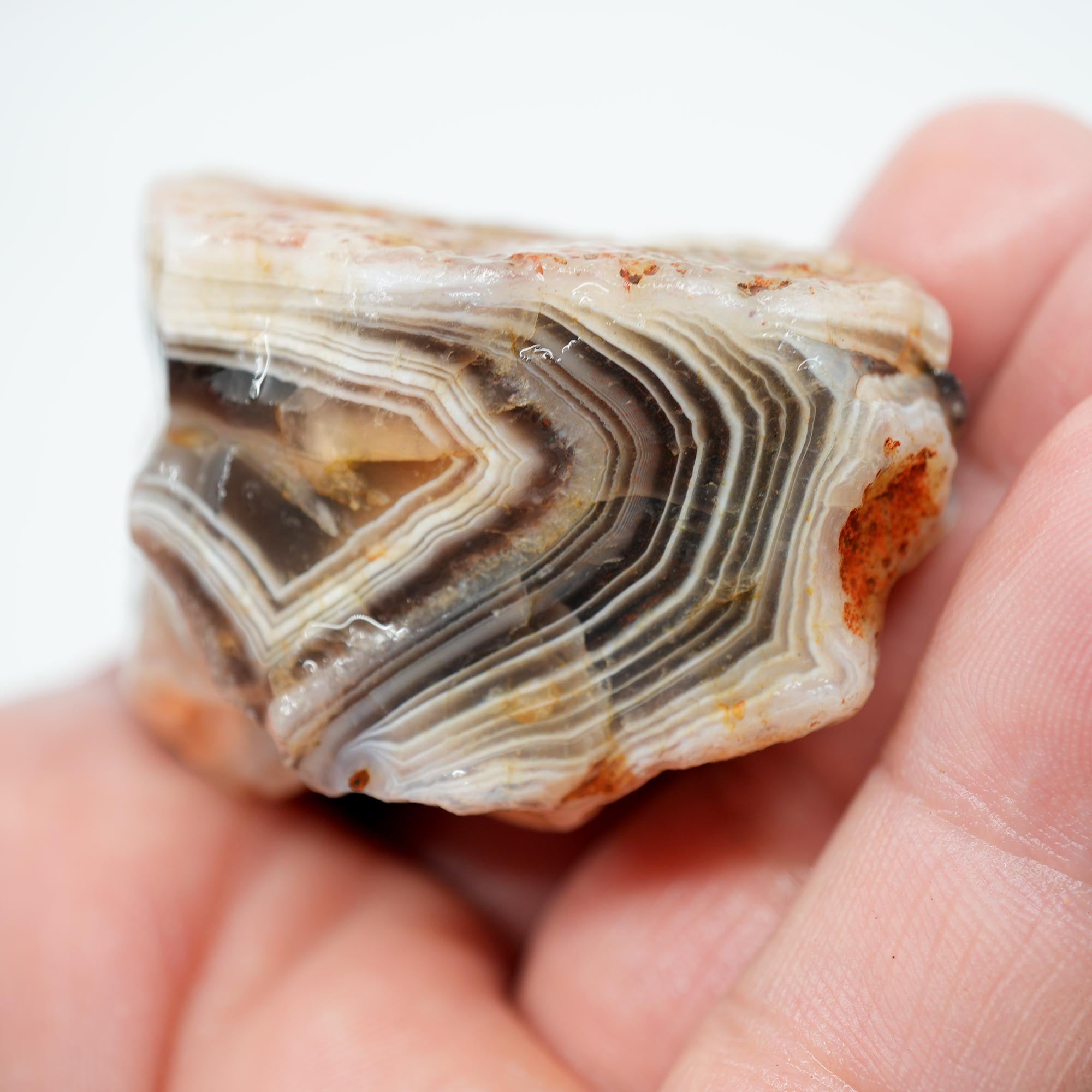 Botswana Agate Rough - Old Stock Blue Shadow Banding Trimmer