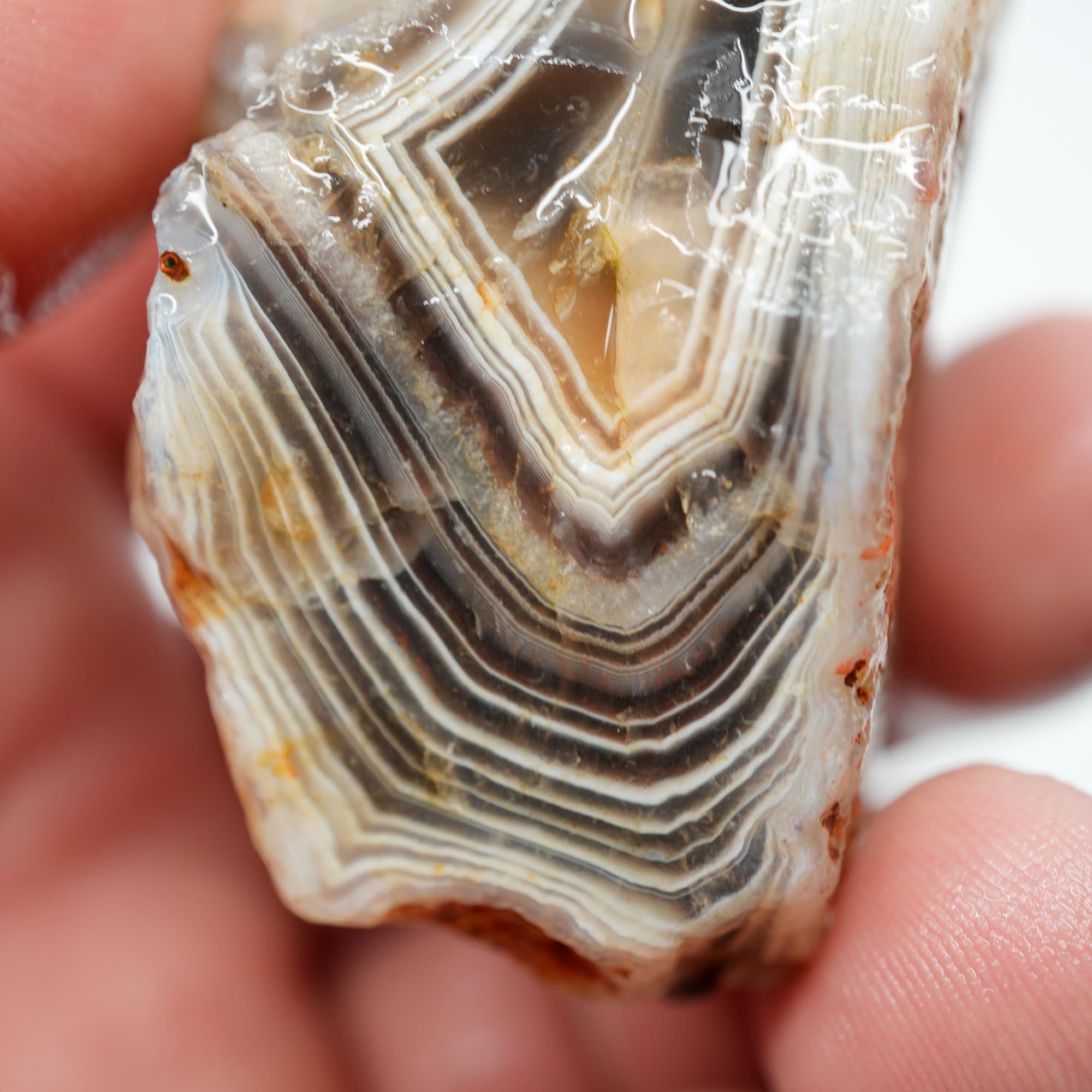 Botswana Agate Rough - Old Stock Blue Shadow Banding Trimmer