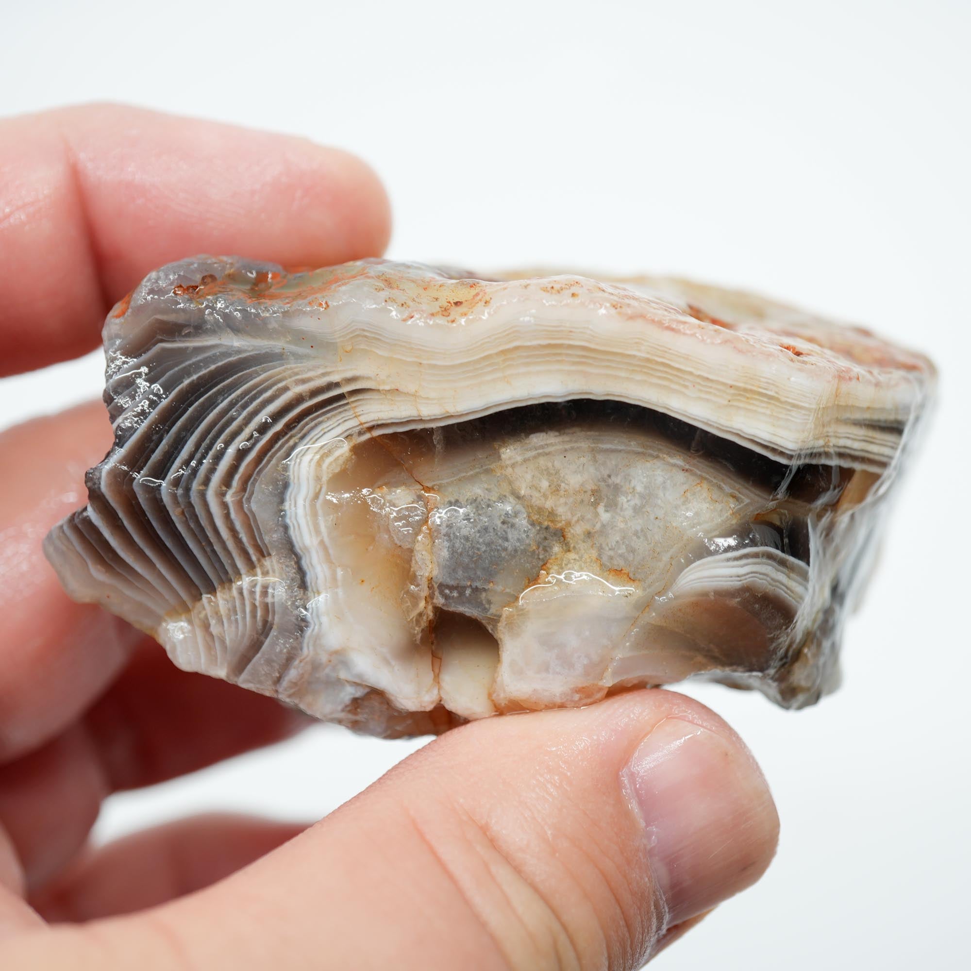 Botswana Agate Rough - Old Stock Blue Shadow Banding Trimmer