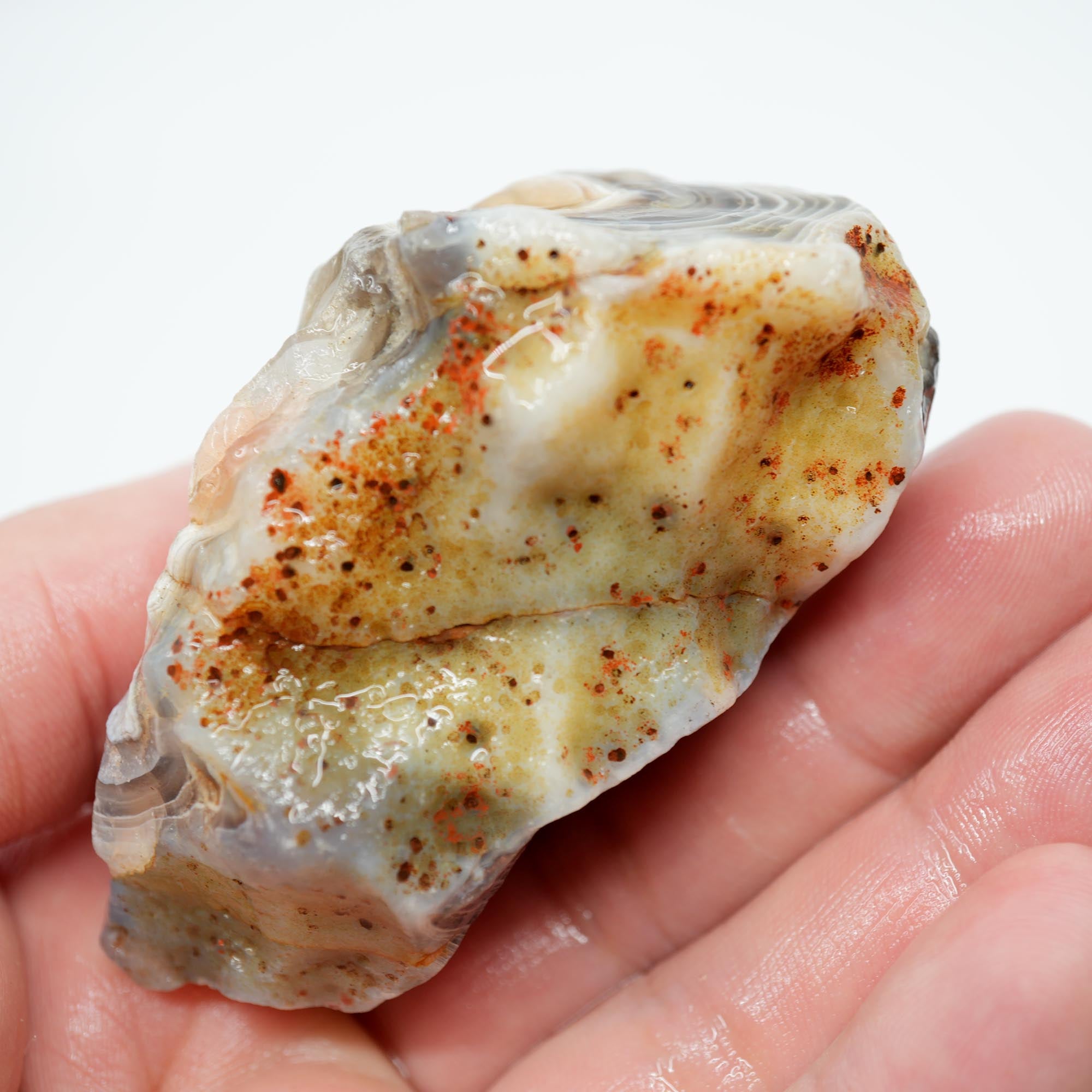 Botswana Agate Rough - Old Stock Blue Shadow Banding Trimmer