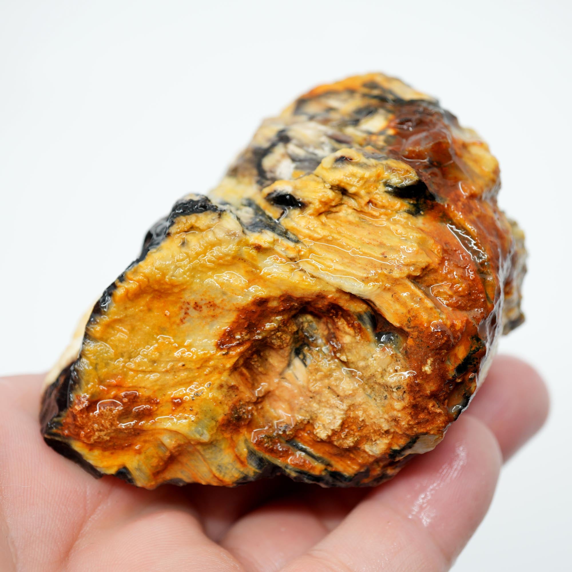 Mystery Opalized Petrified Wood Rough - Smoky Woodgrain with Black and White