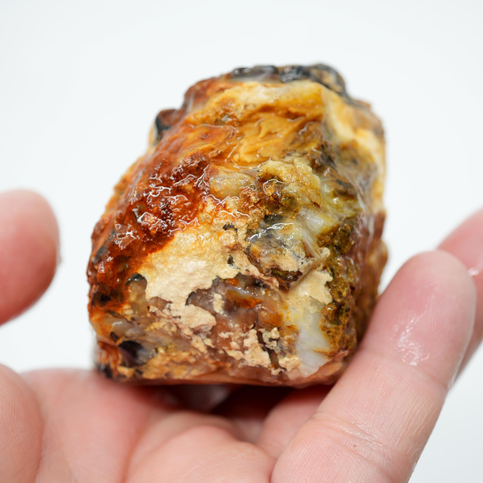Mystery Opalized Petrified Wood Rough - Smoky Woodgrain with Black and White