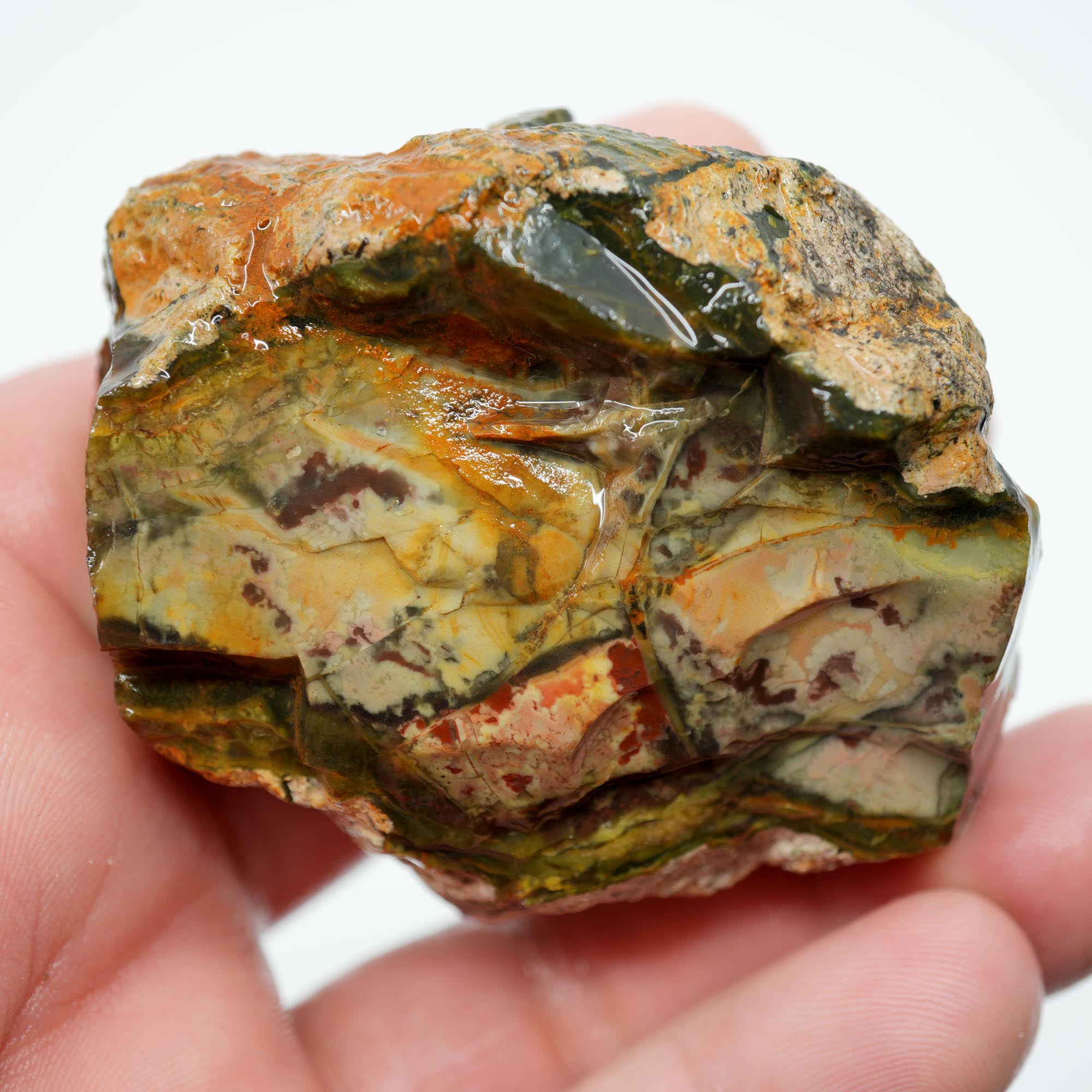 Morrisonite Jasper Rough - Old Stock Unique Pattern with Interesting Structures